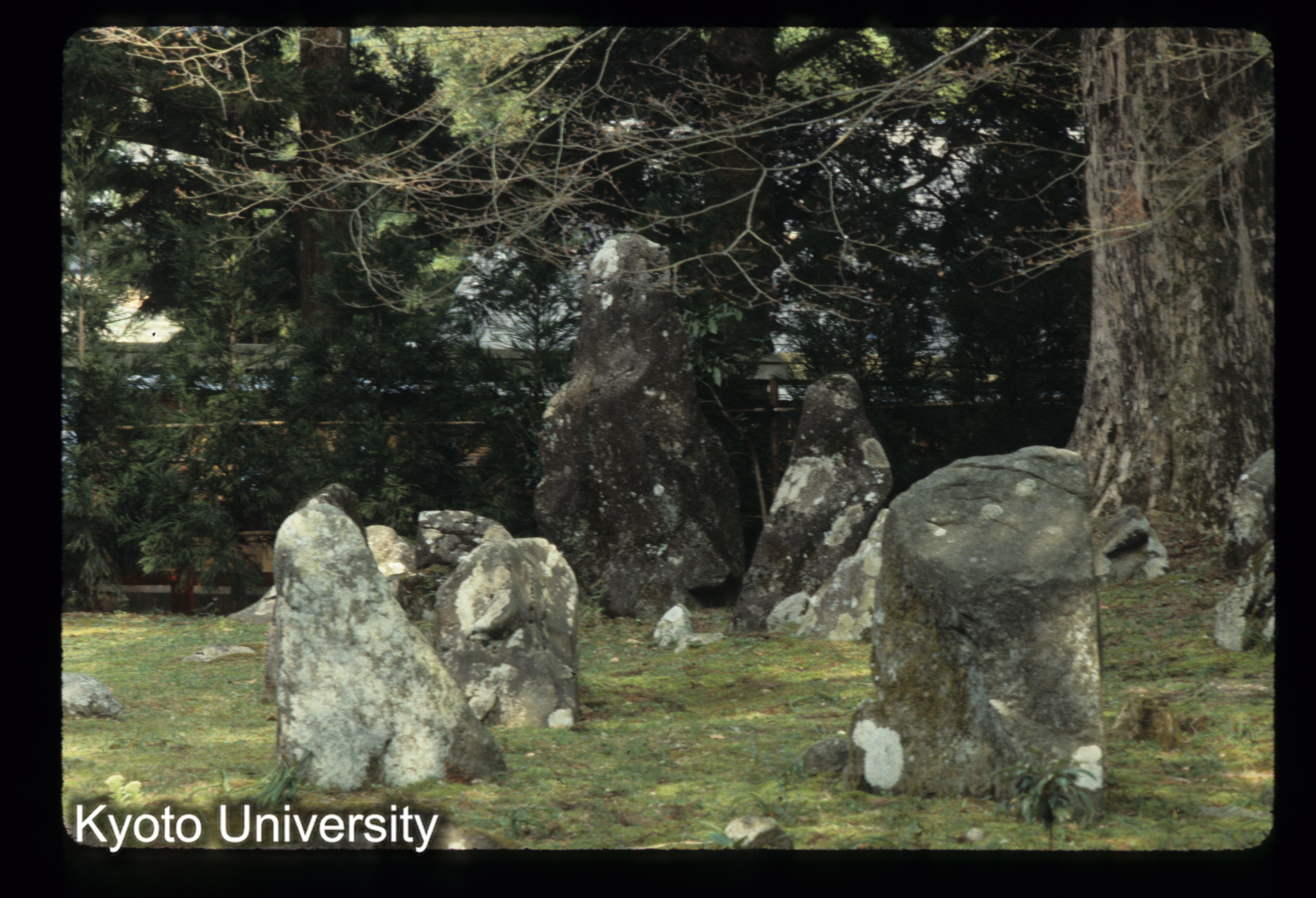 ［スライド］ (1)