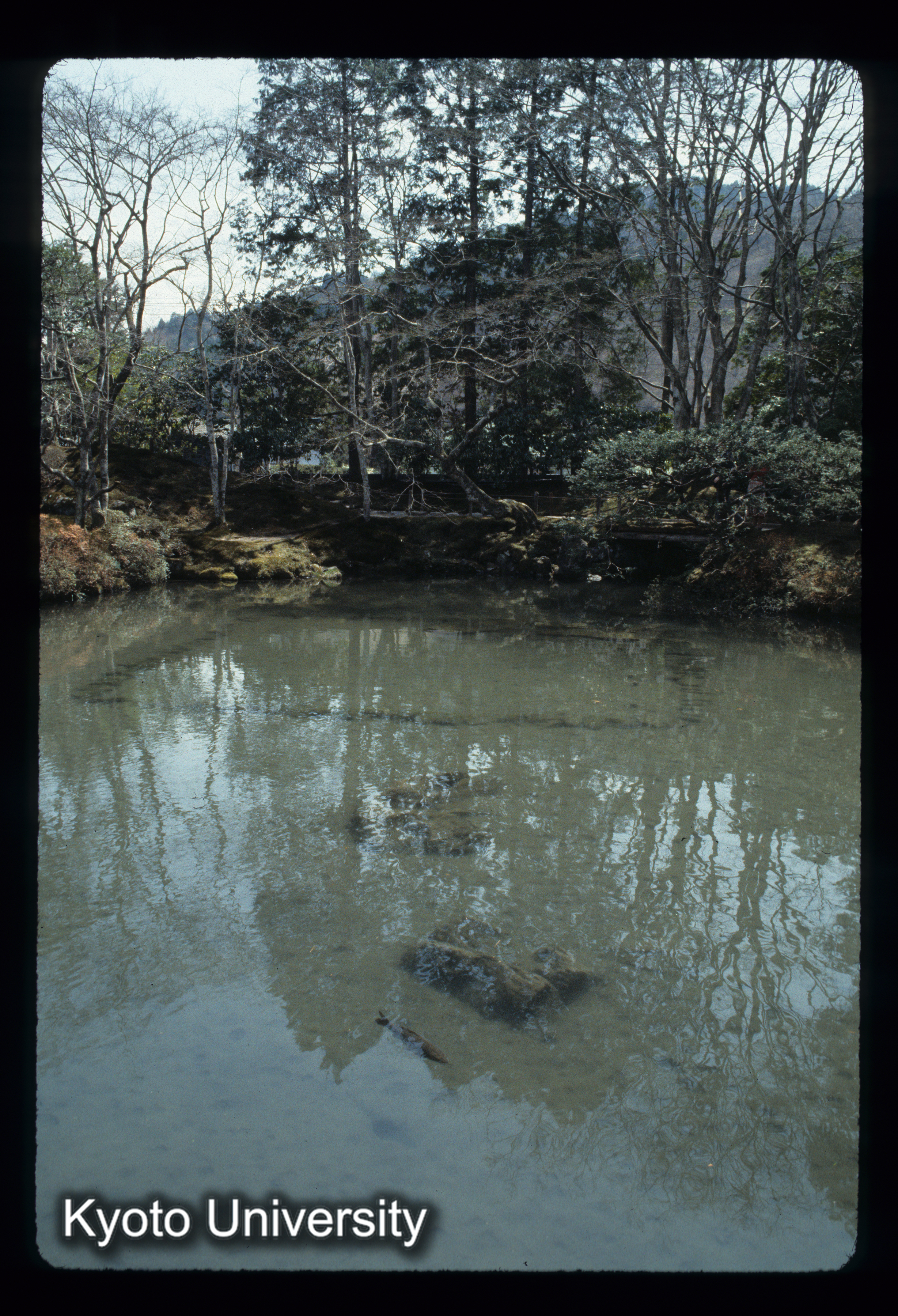 ［スライド］ (1)