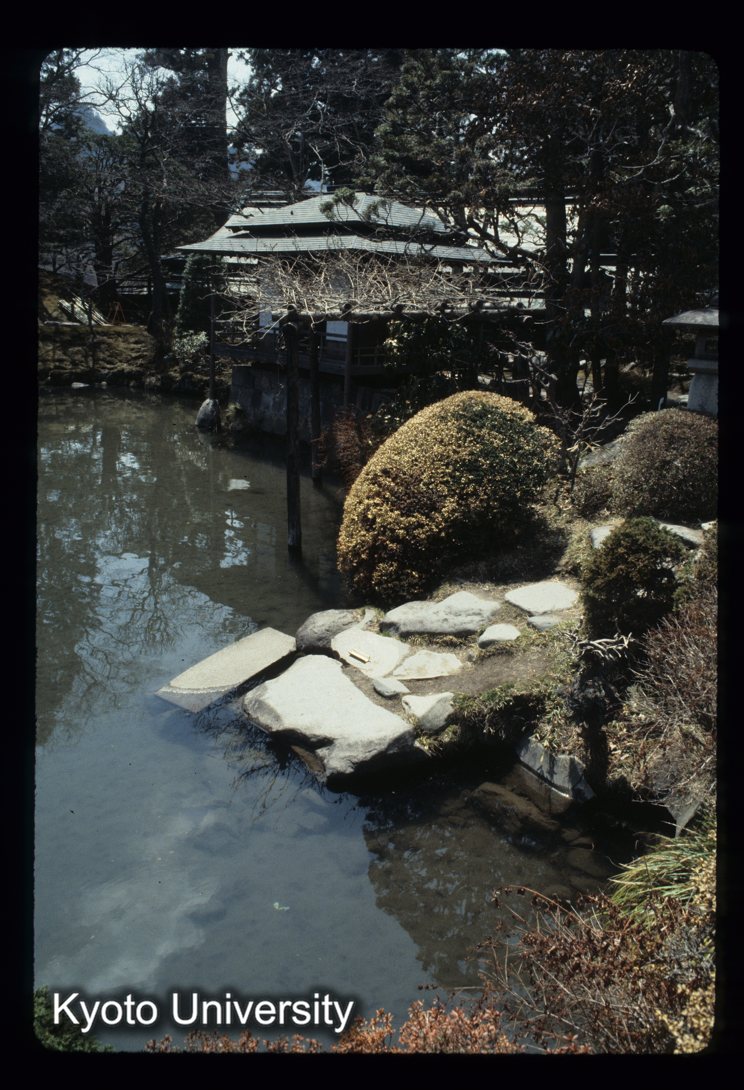 ［スライド］ (1)