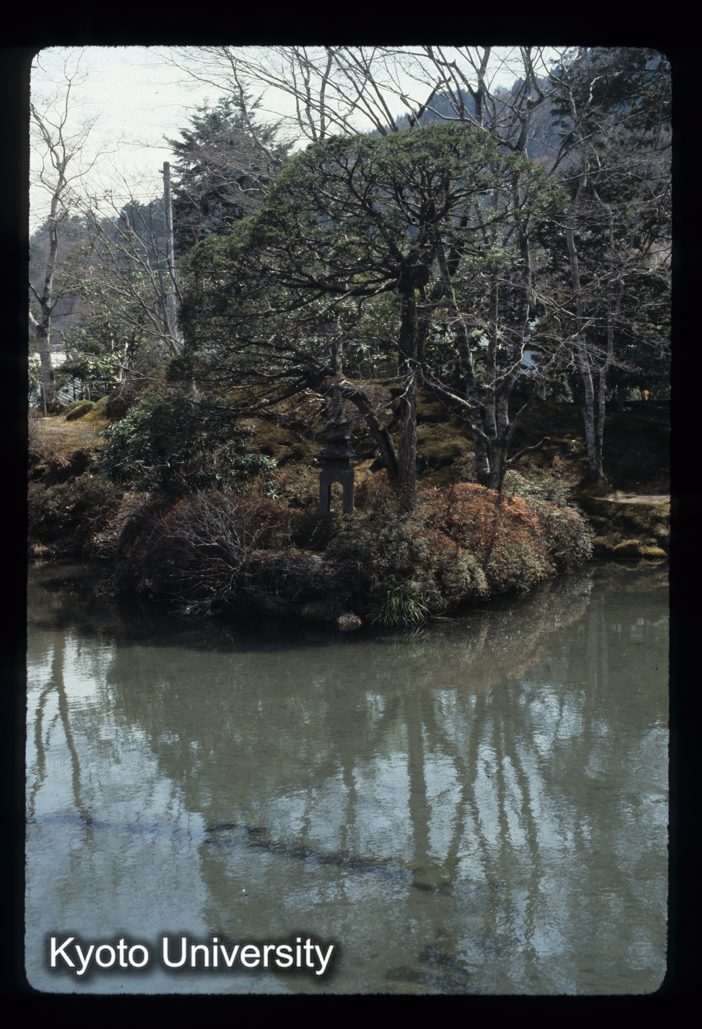 ［スライド］ (1)