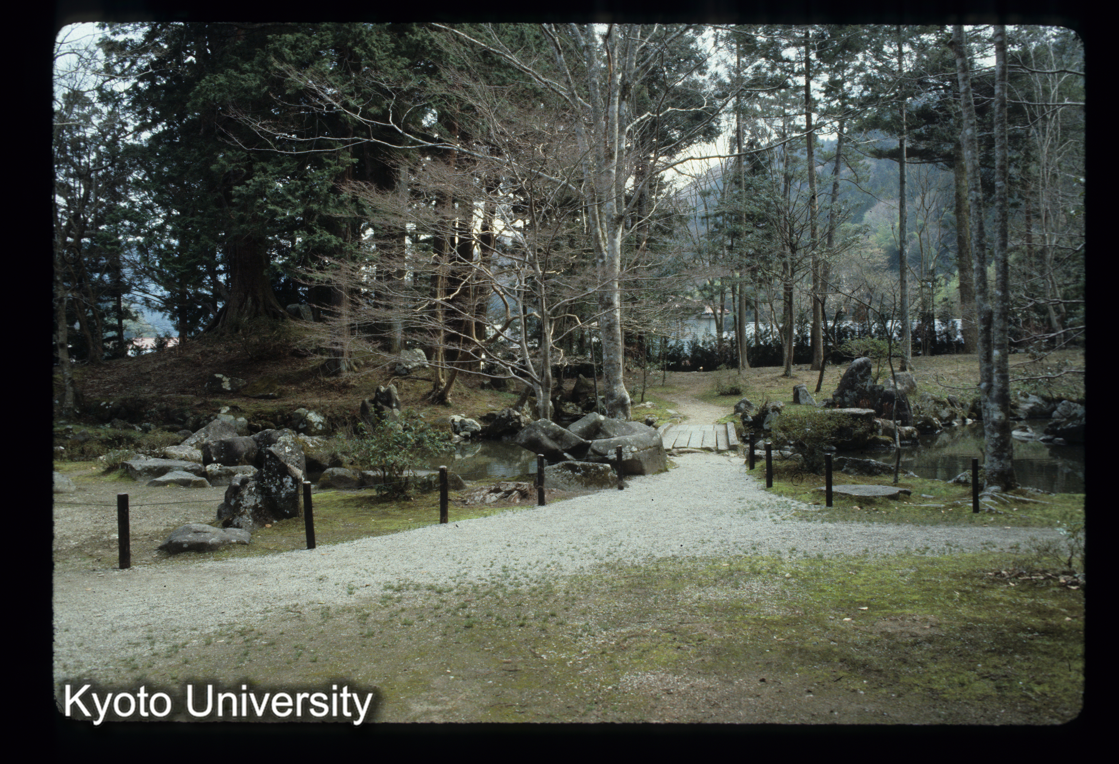 ［スライド］ (1)