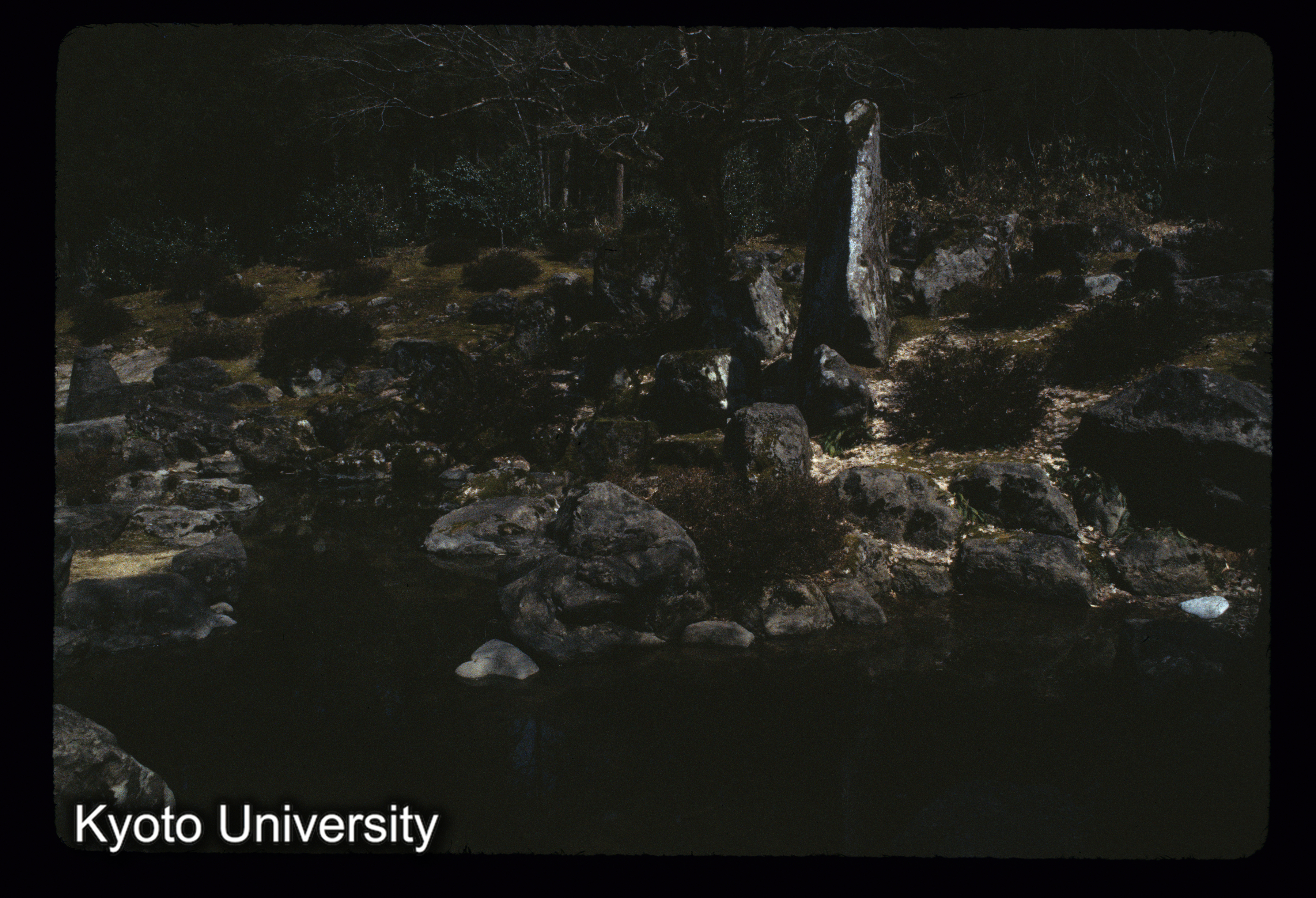 ［スライド］ (1)