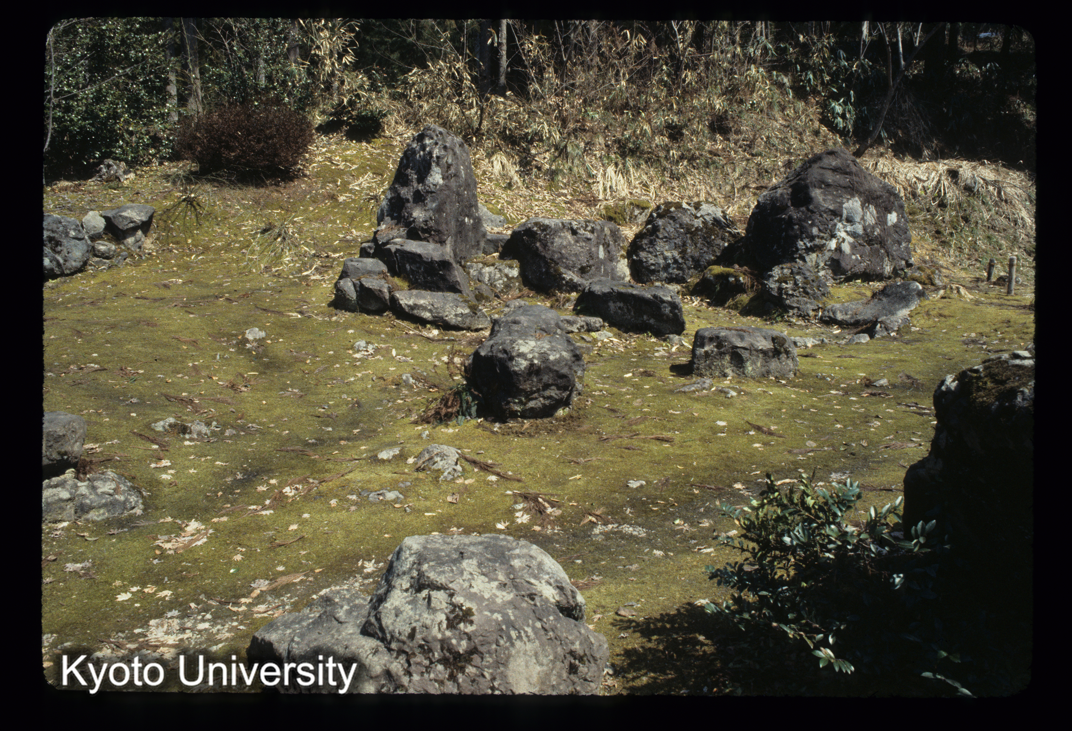 ［スライド］ (1)