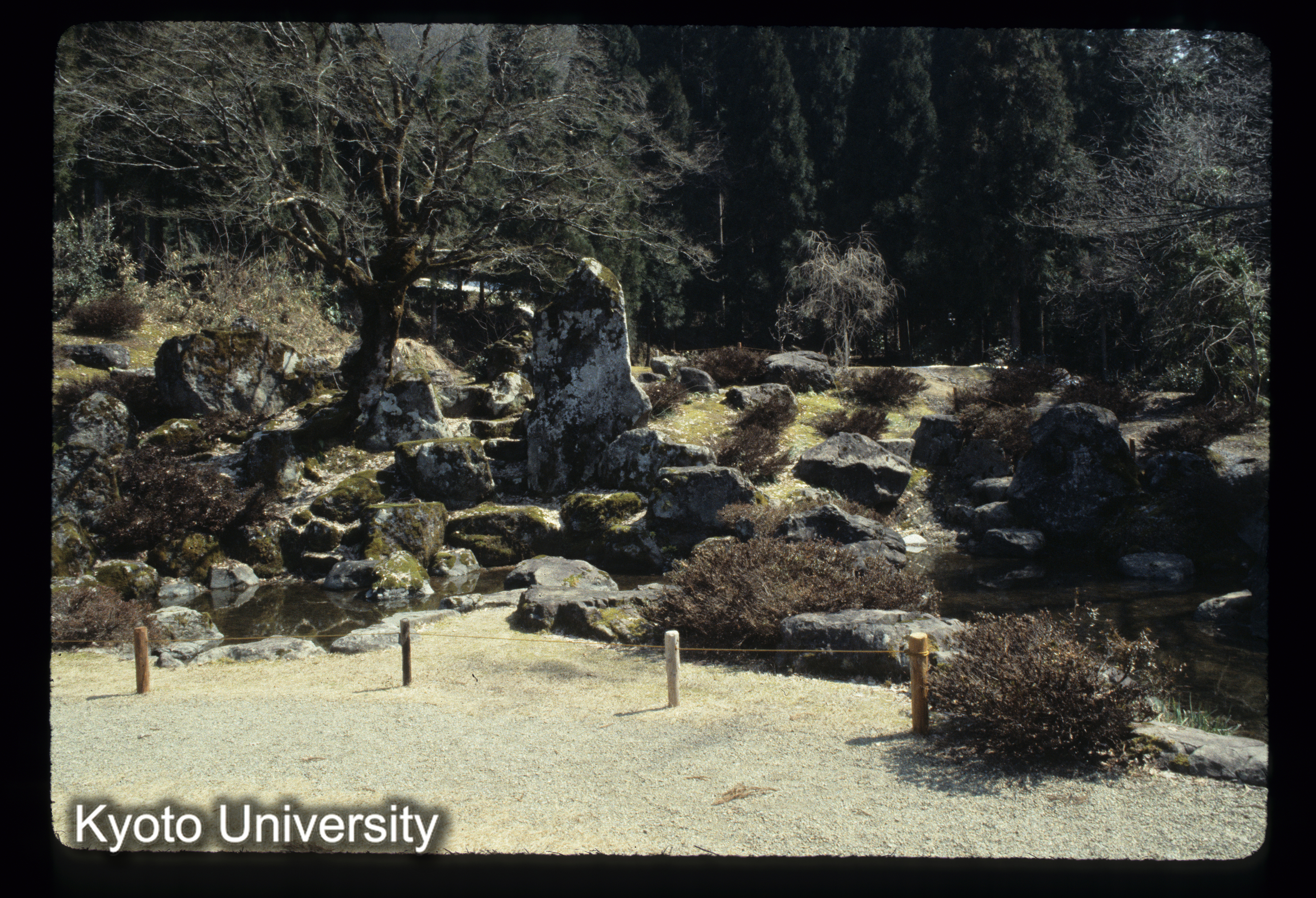 ［スライド］ (1)