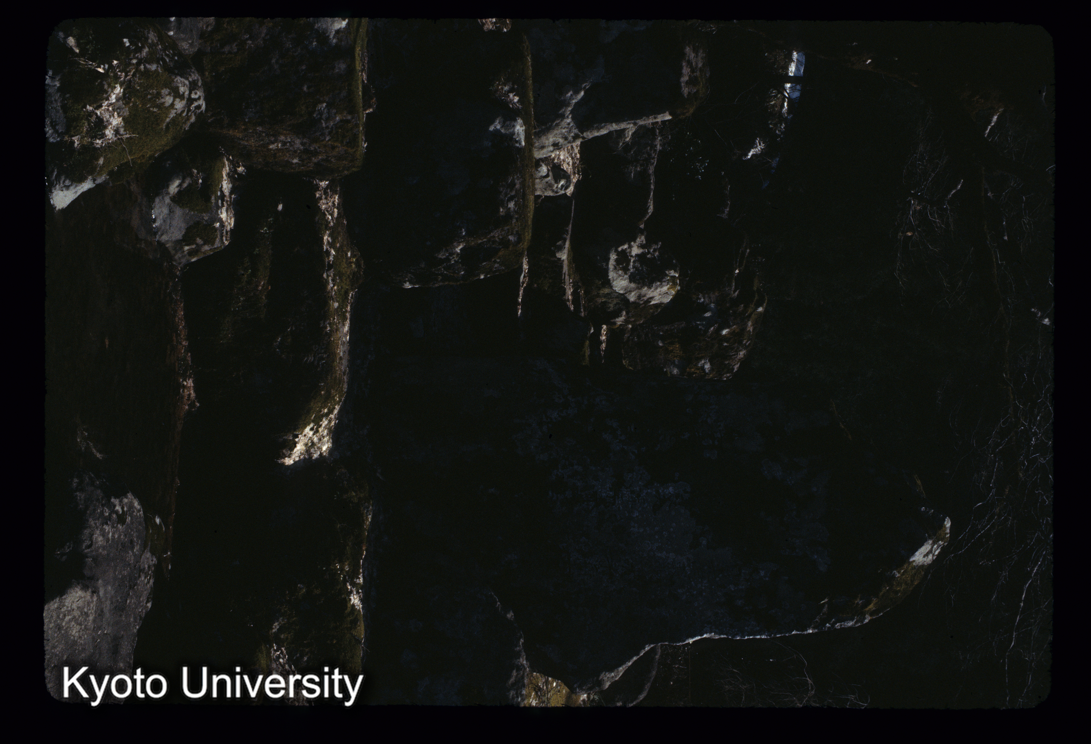 ［スライド］ (1)