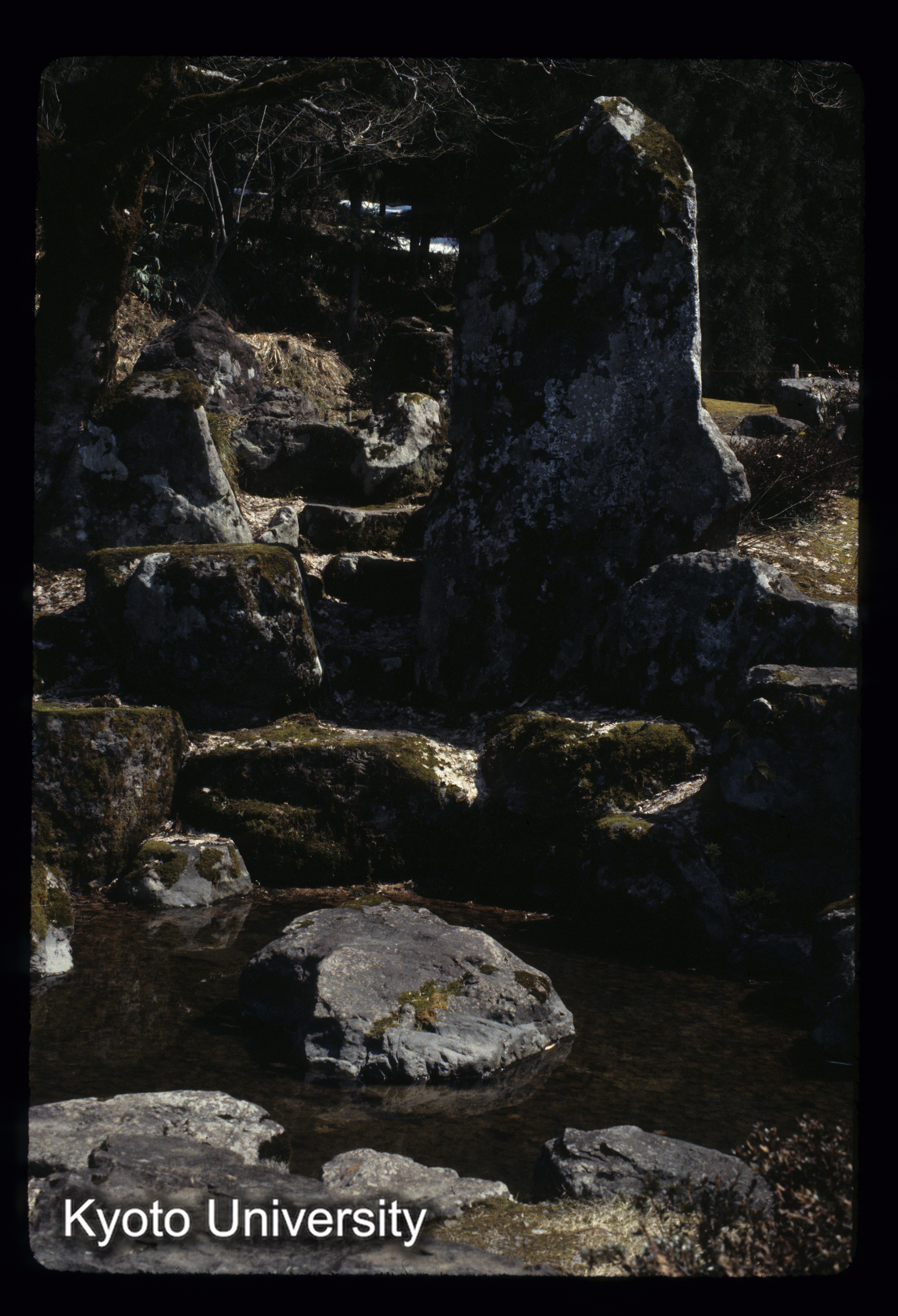 ［スライド］ (1)