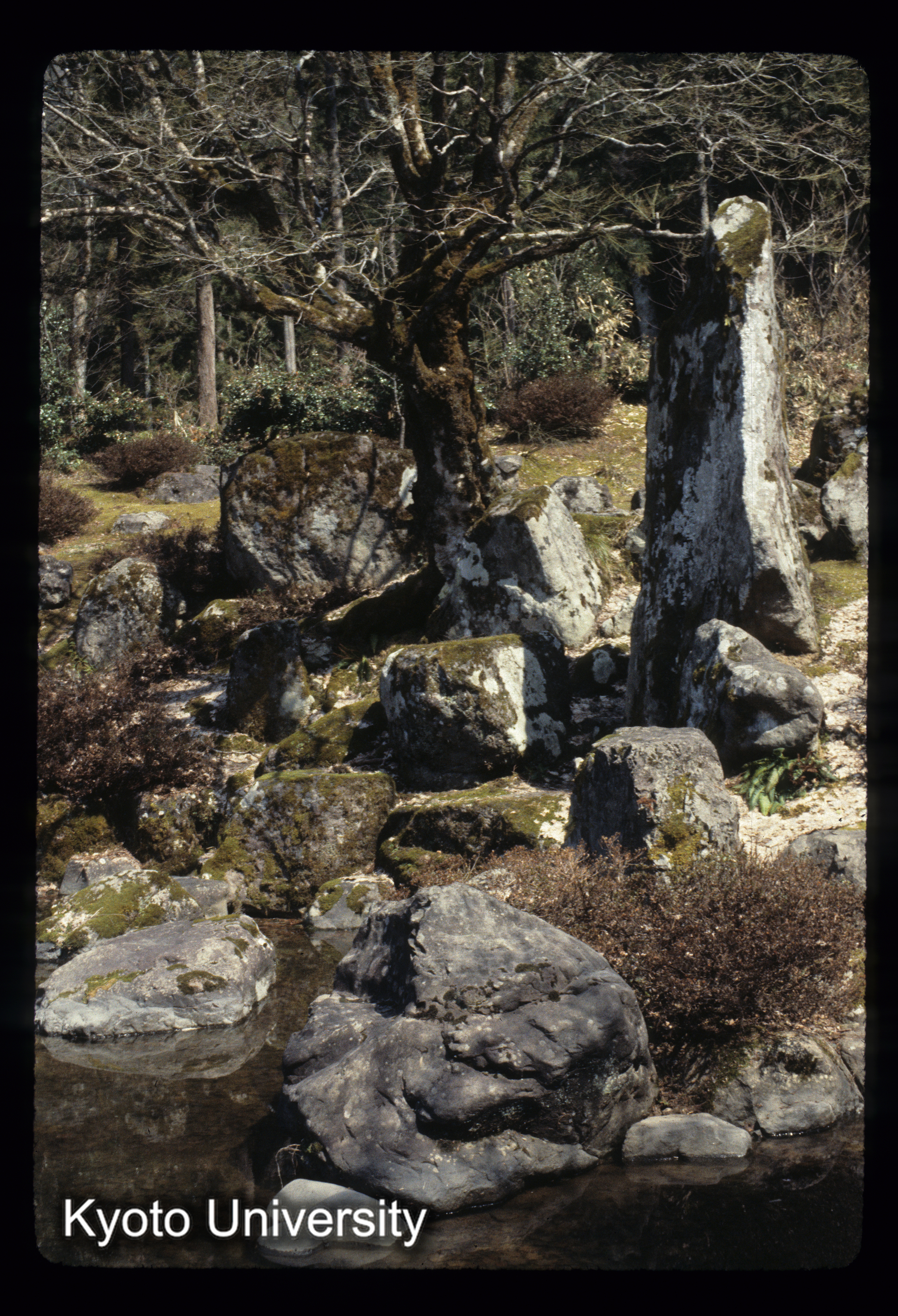 ［スライド］ (1)