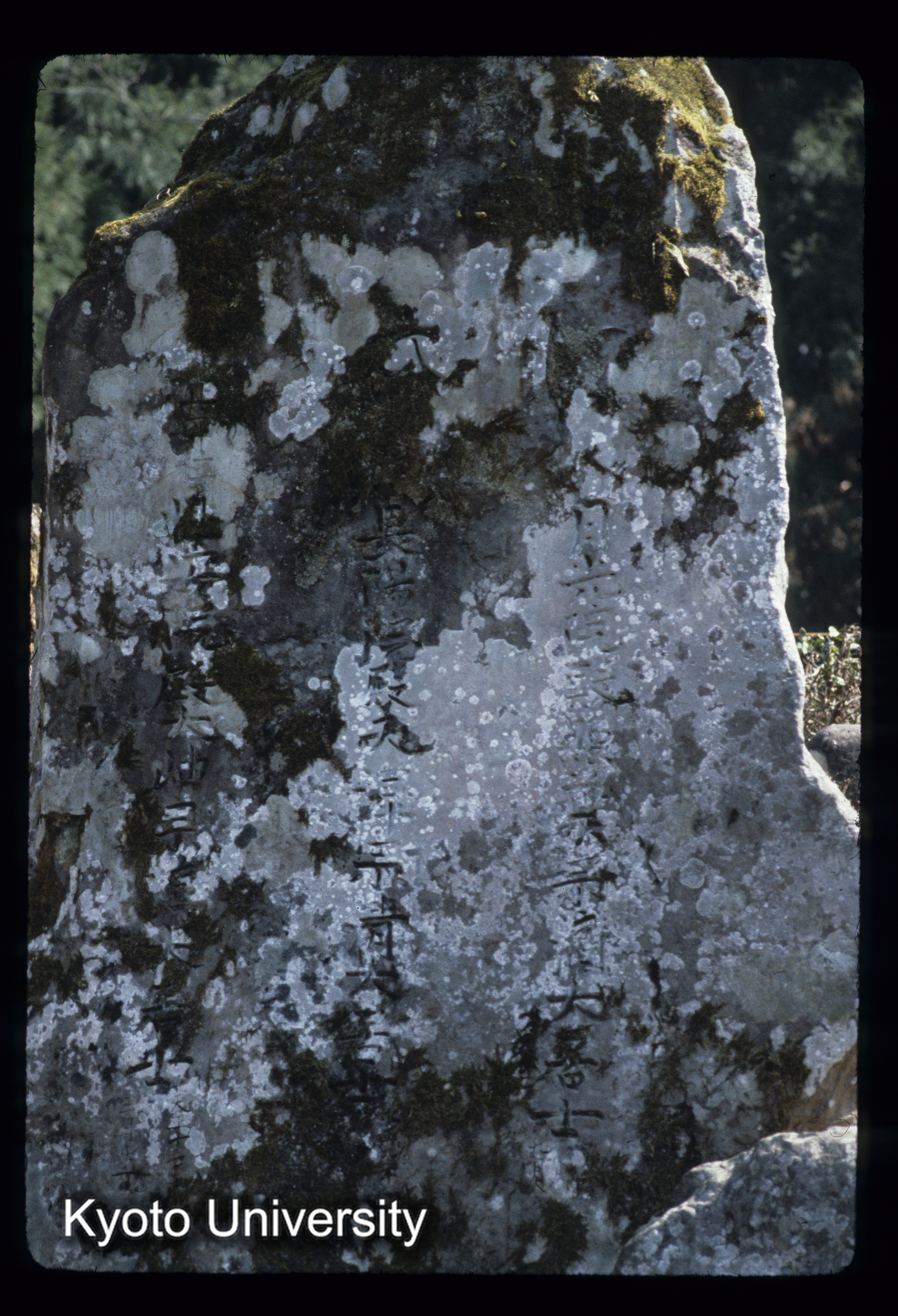 ［スライド］ (1)