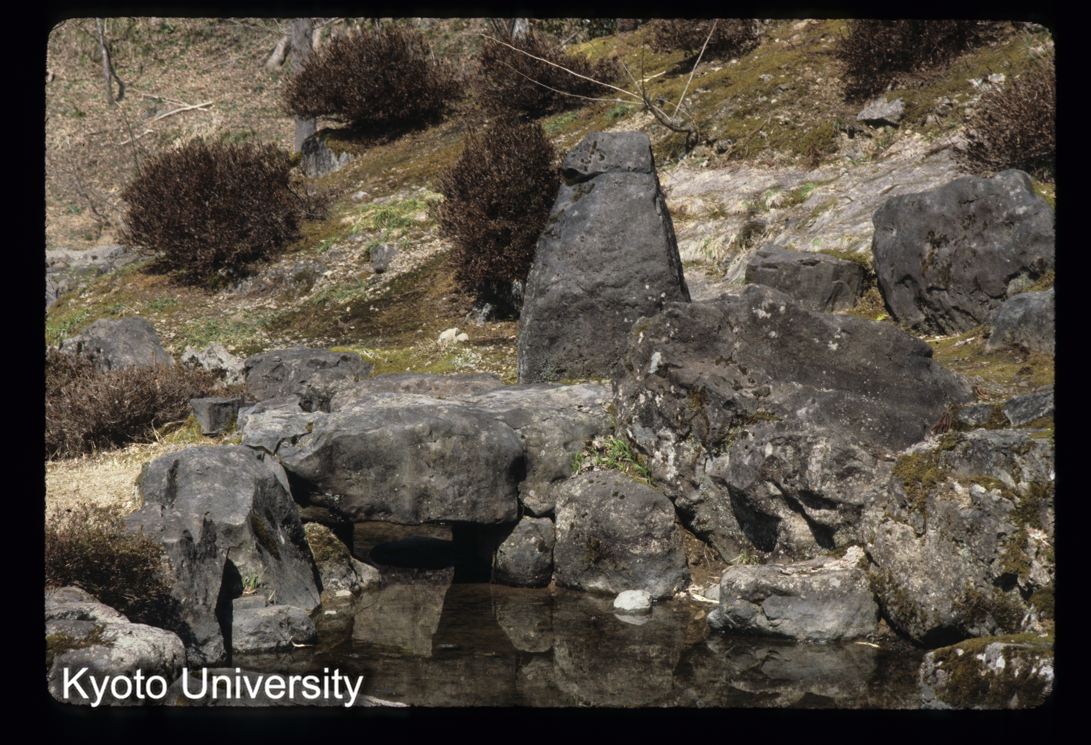 ［スライド］ (1)