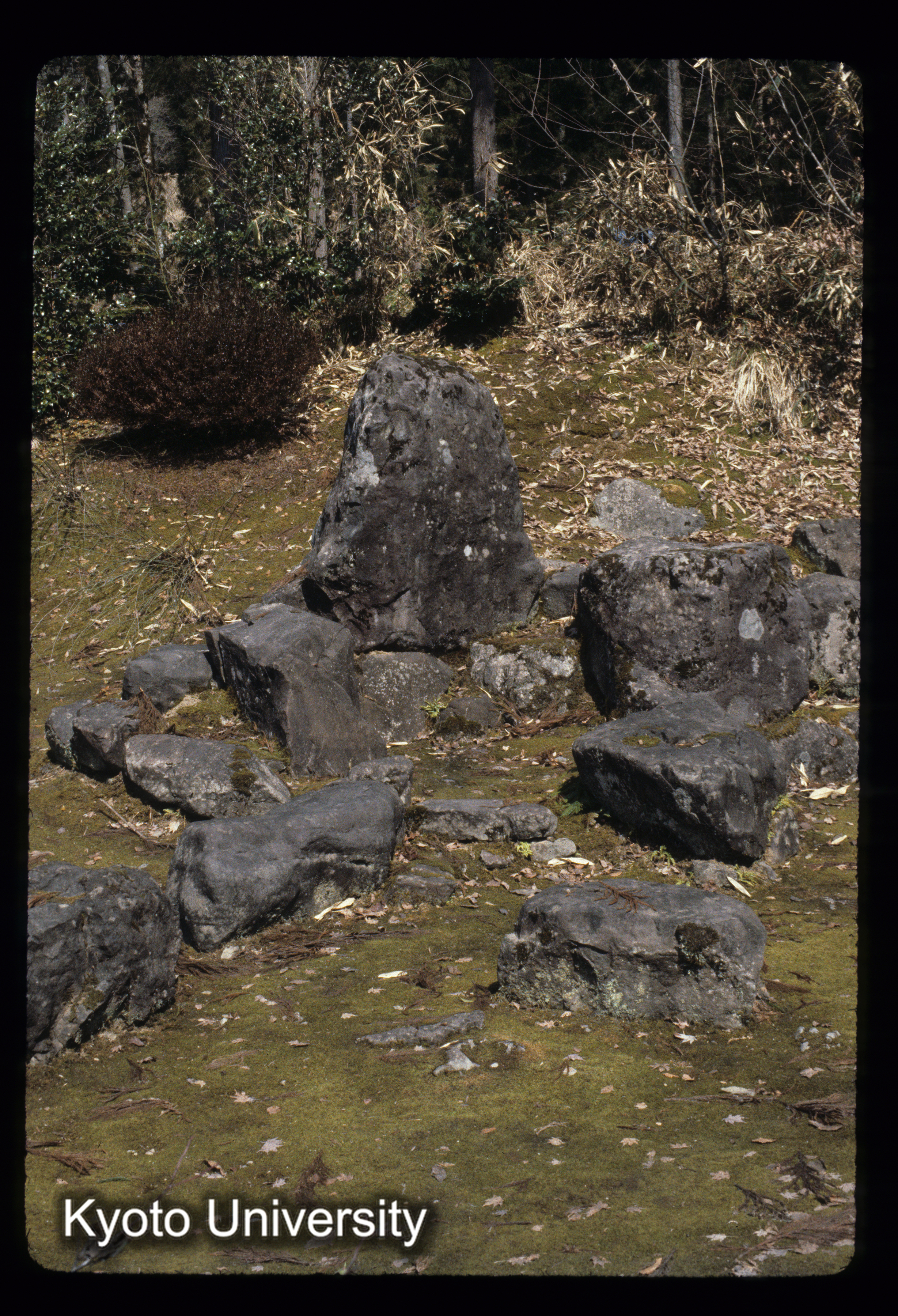 ［スライド］ (1)