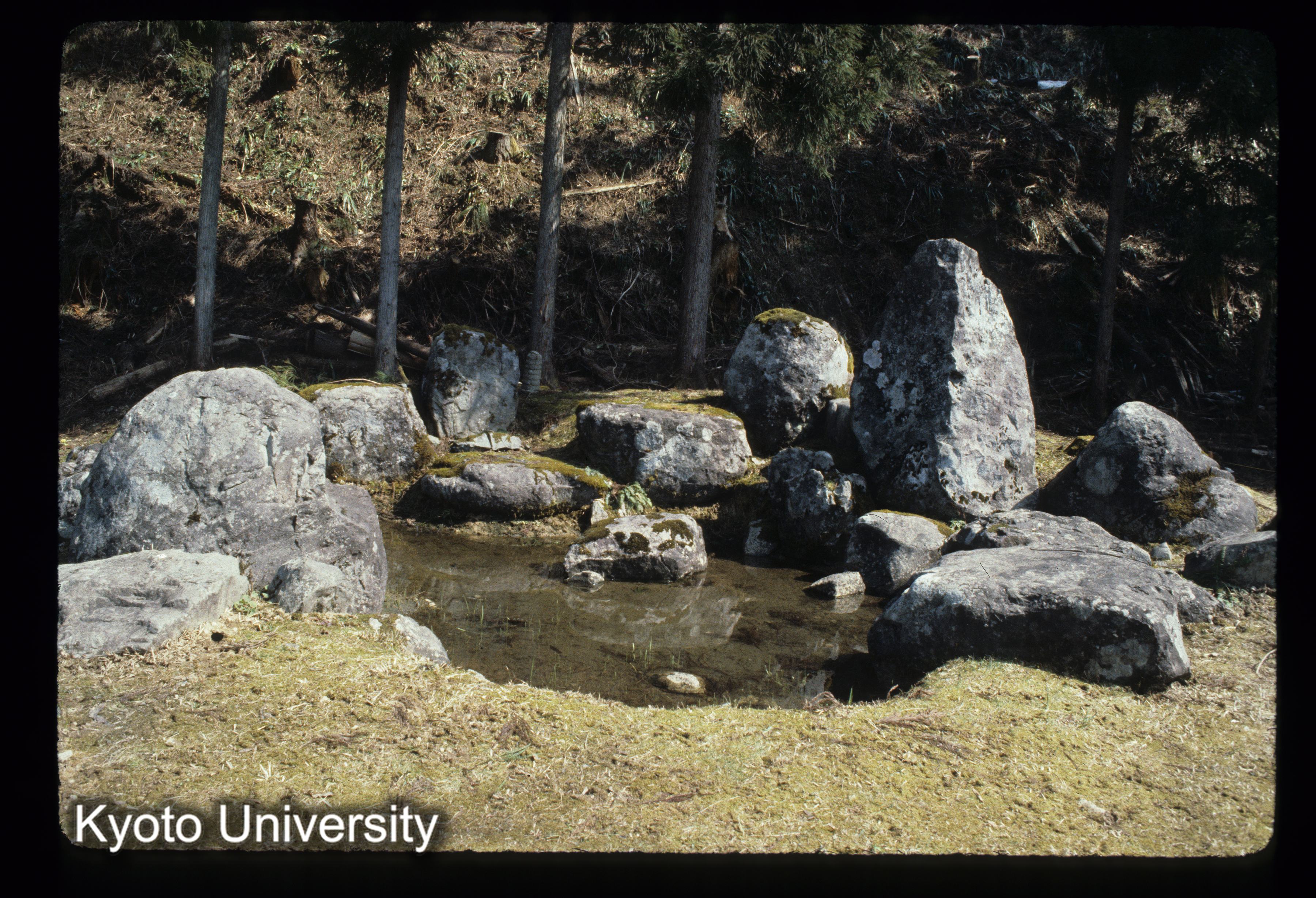 ［スライド］ (1)