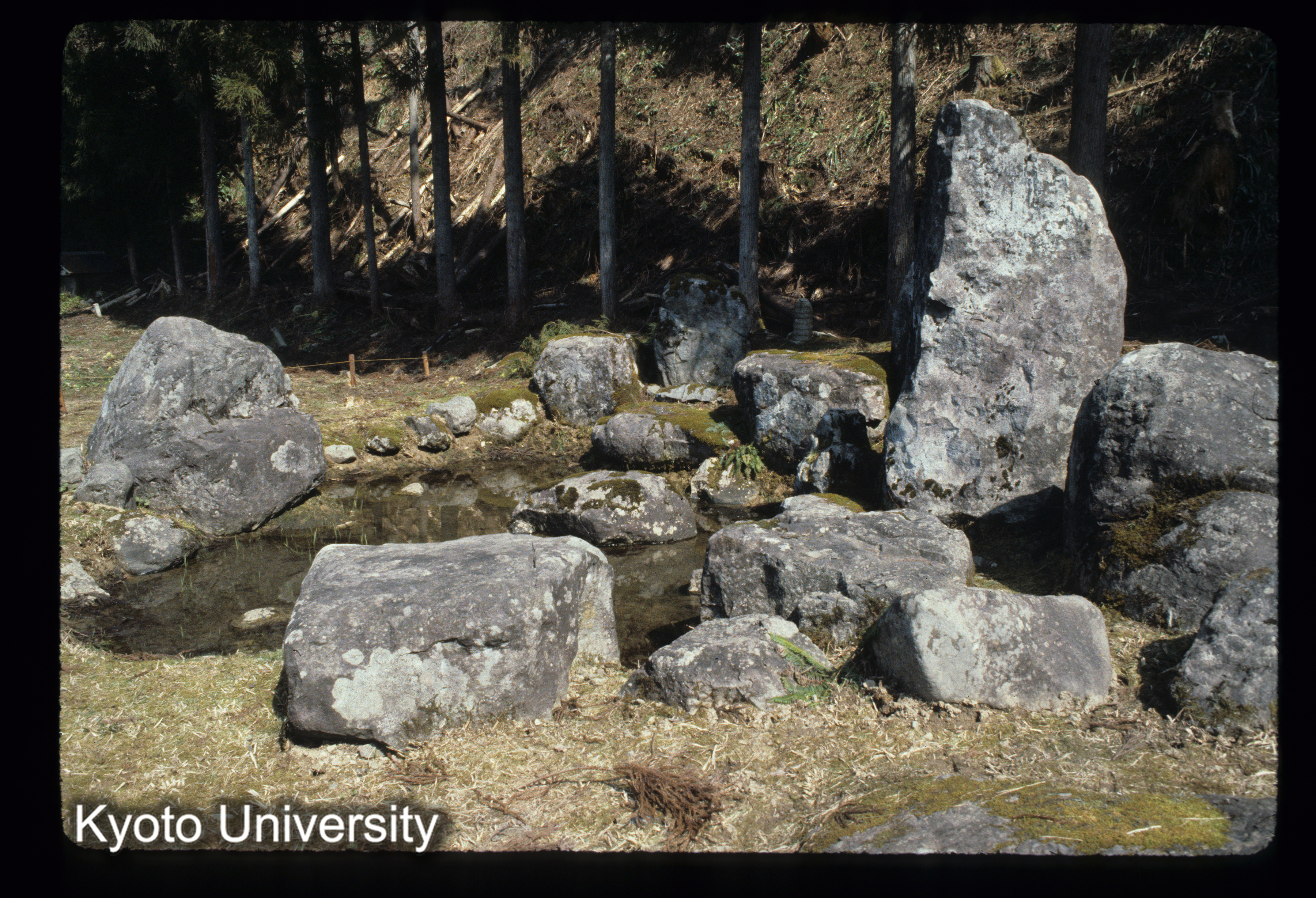 ［スライド］ (1)