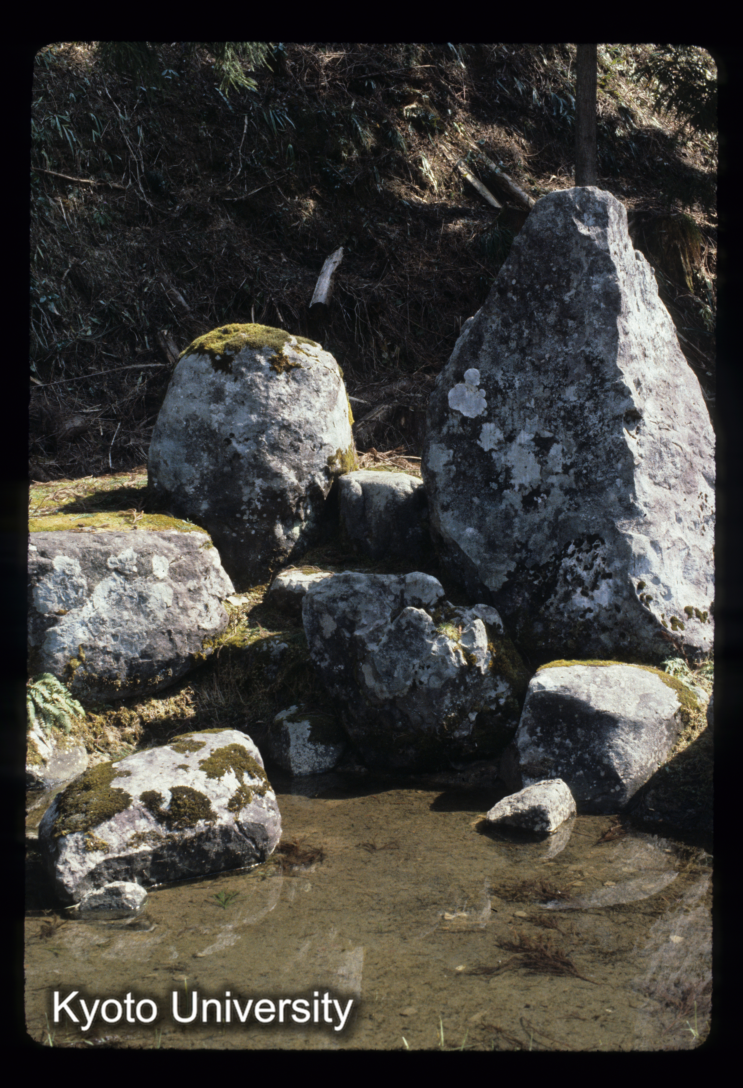 ［スライド］ (1)