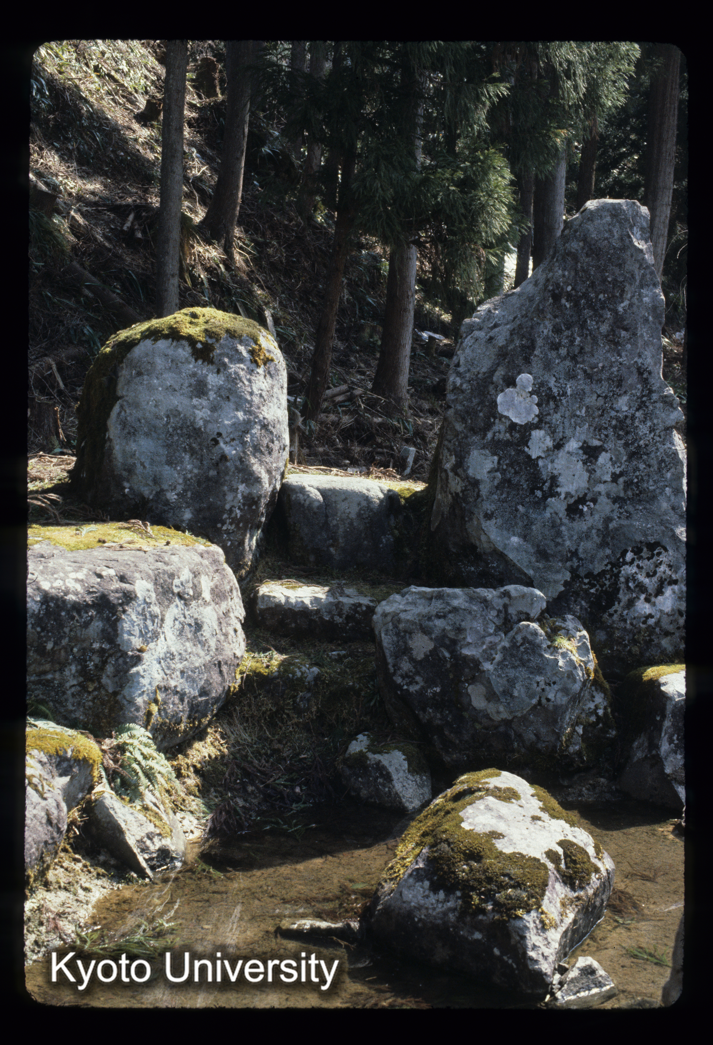 ［スライド］ (1)