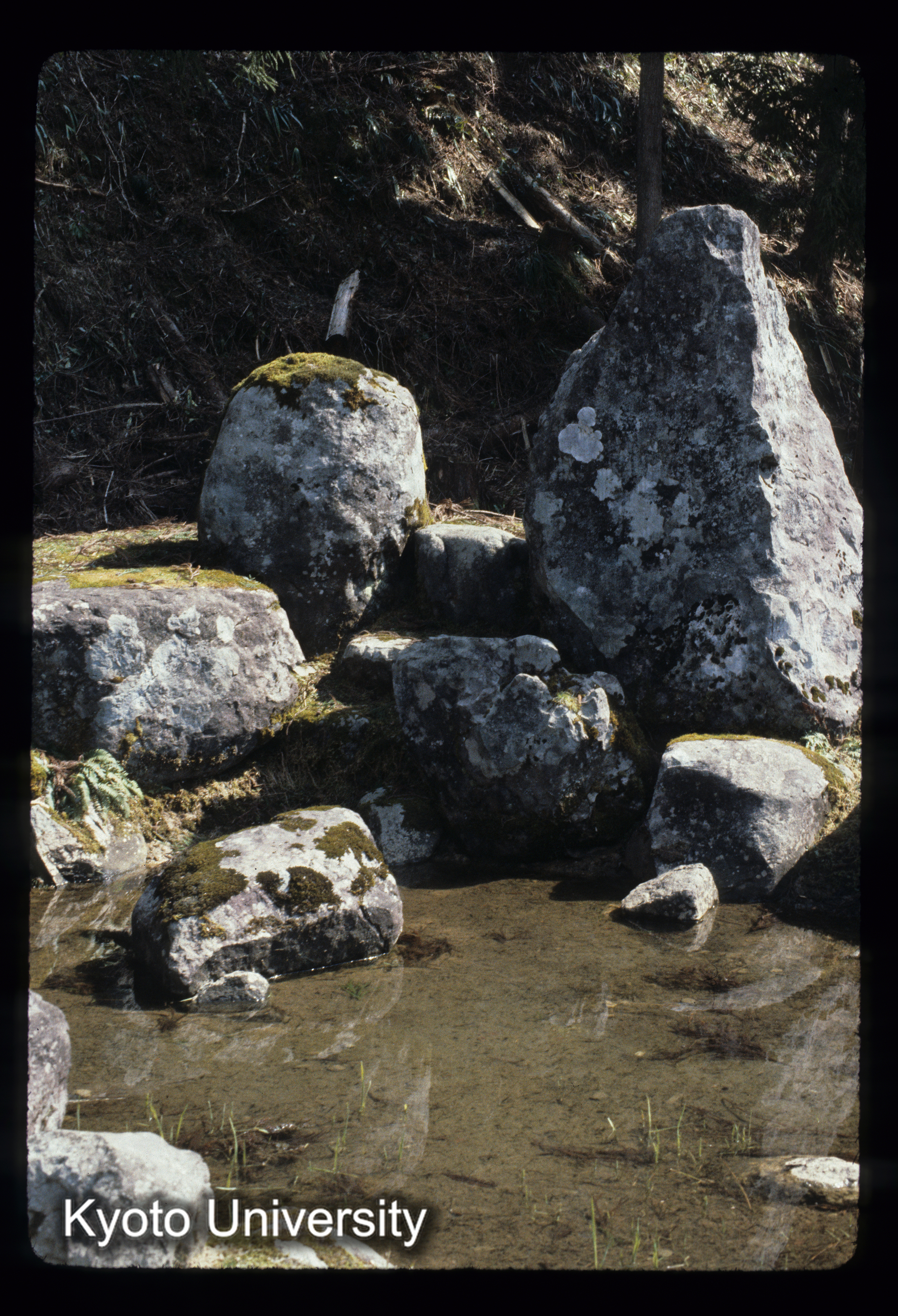 ［スライド］ (1)