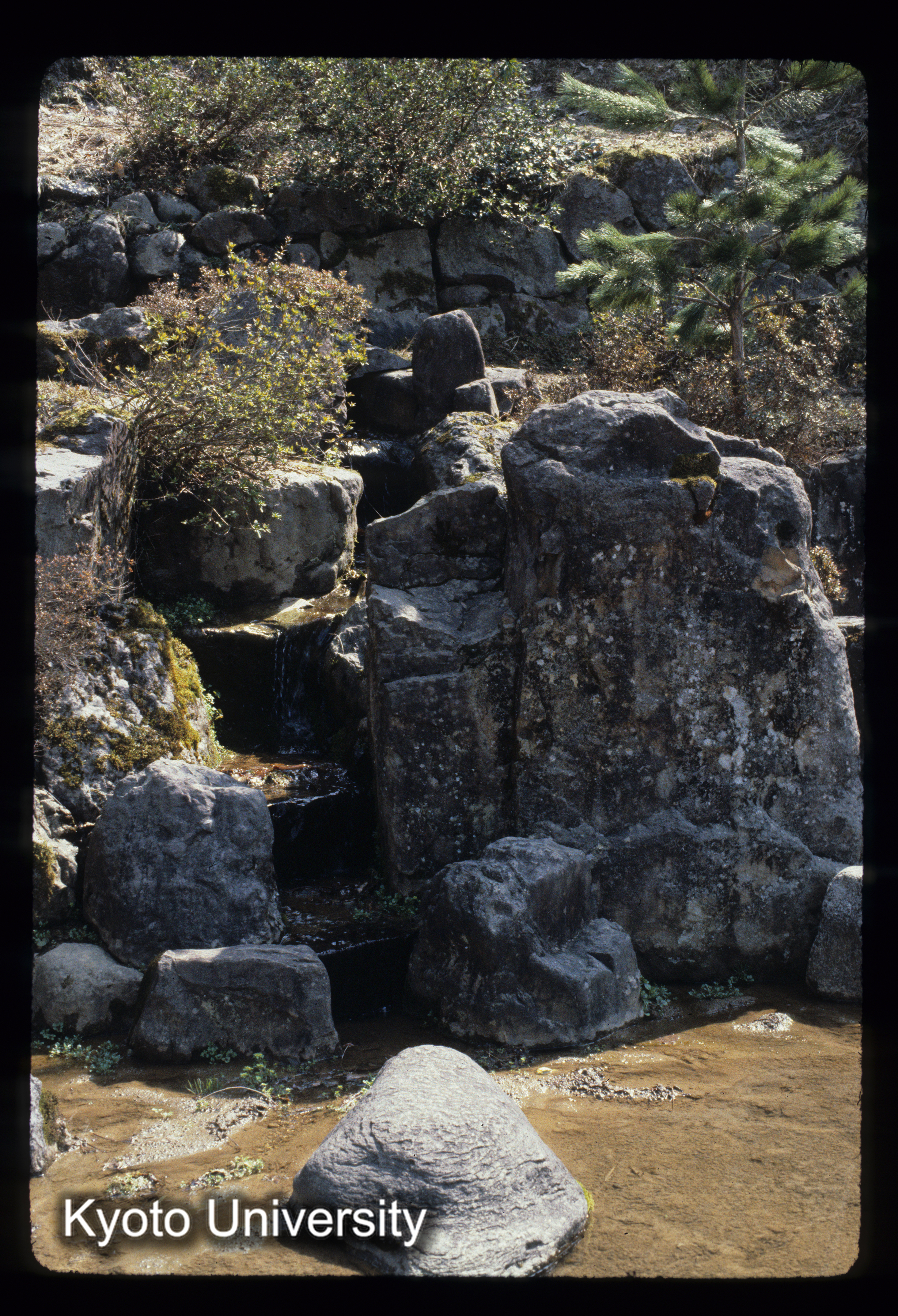 ［スライド］ (1)