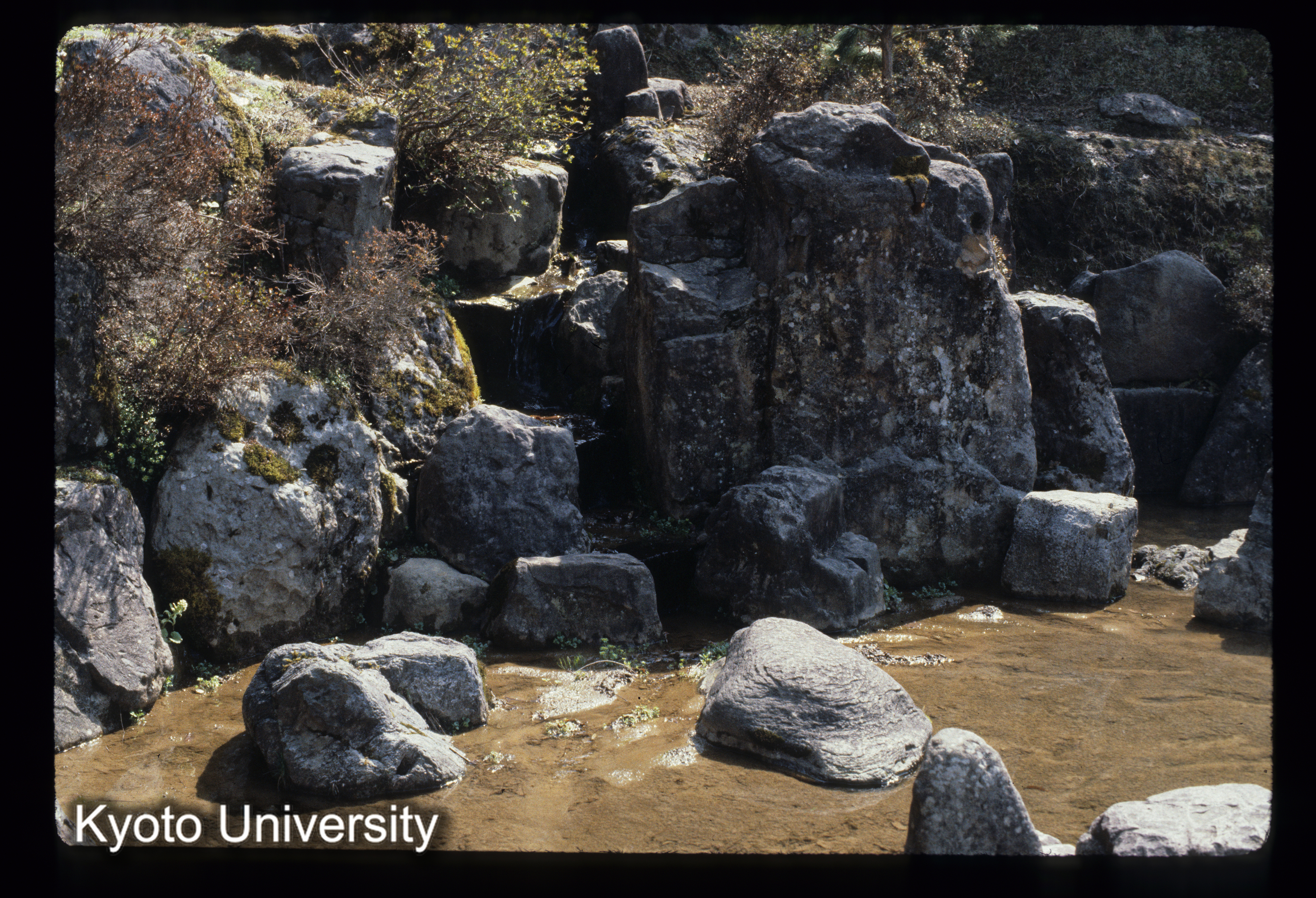 ［スライド］ (1)