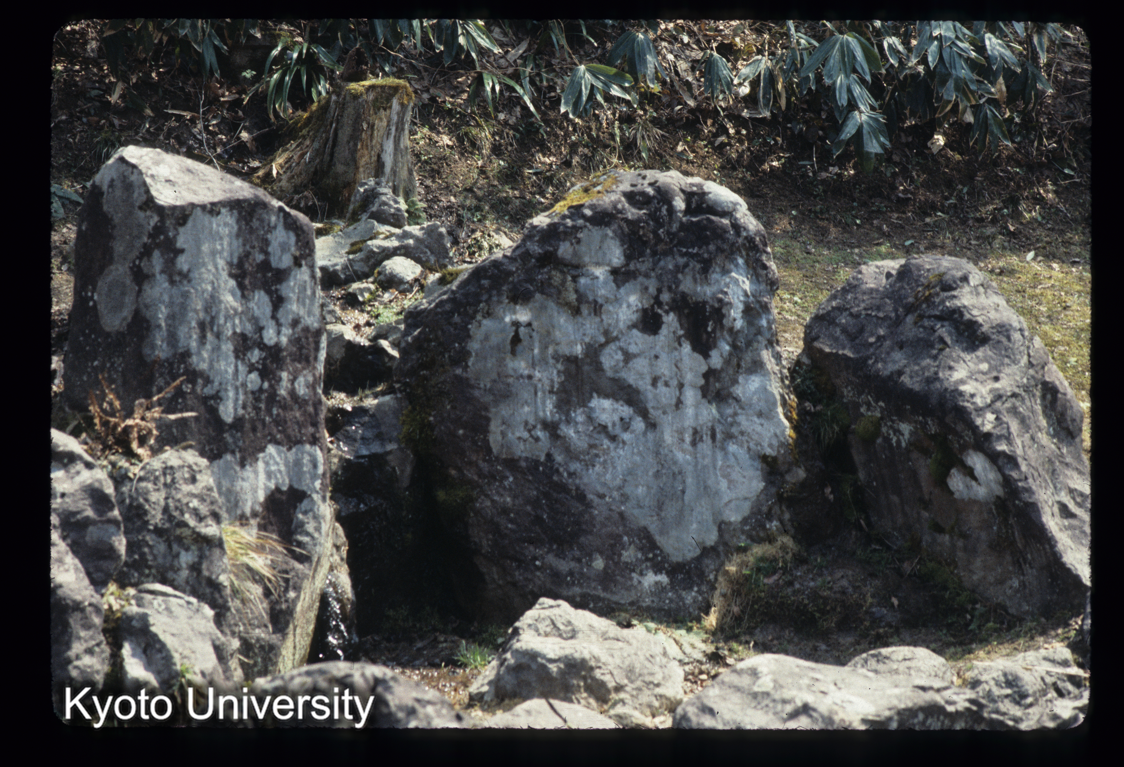 ［スライド］ (1)