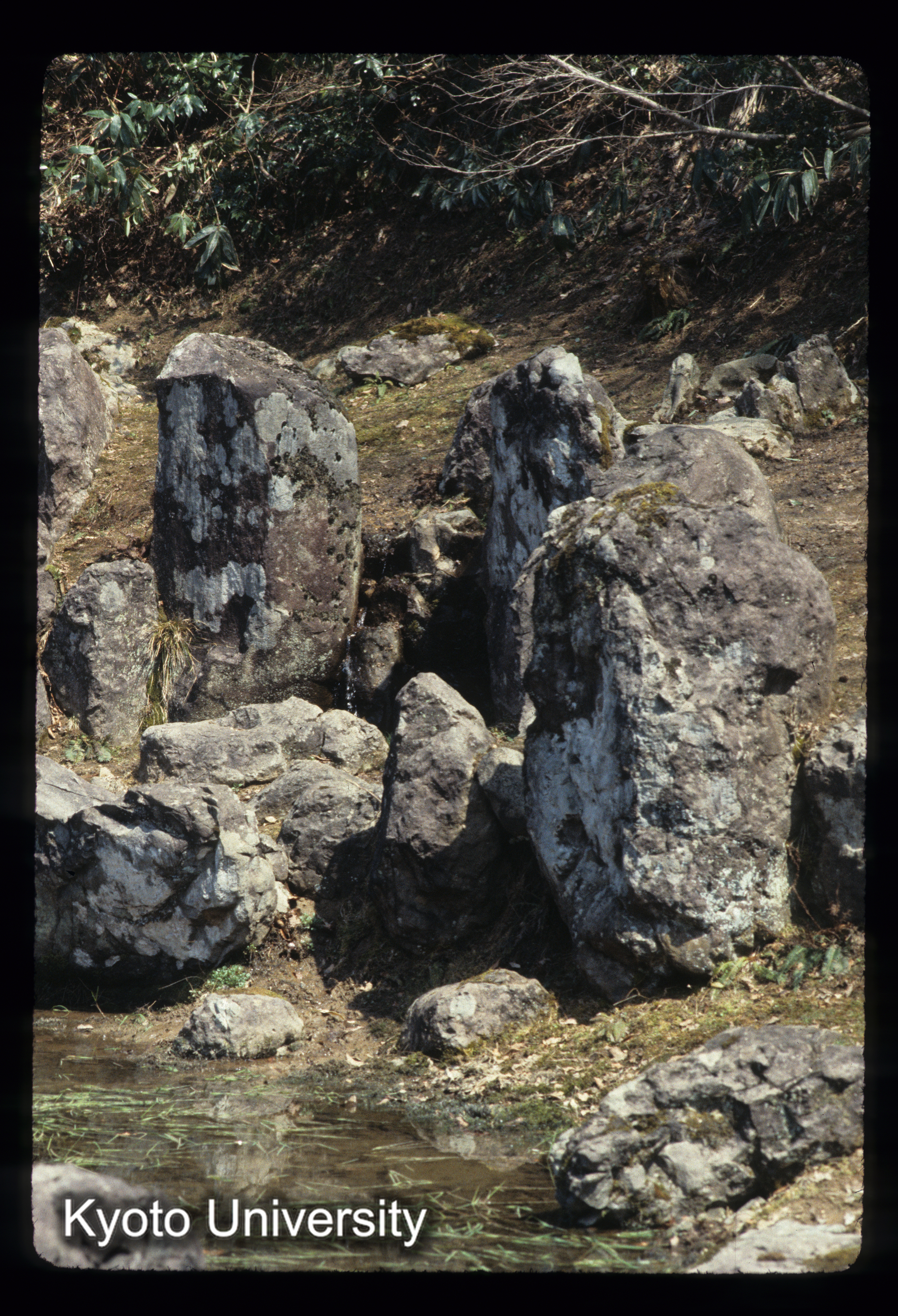 ［スライド］ (1)