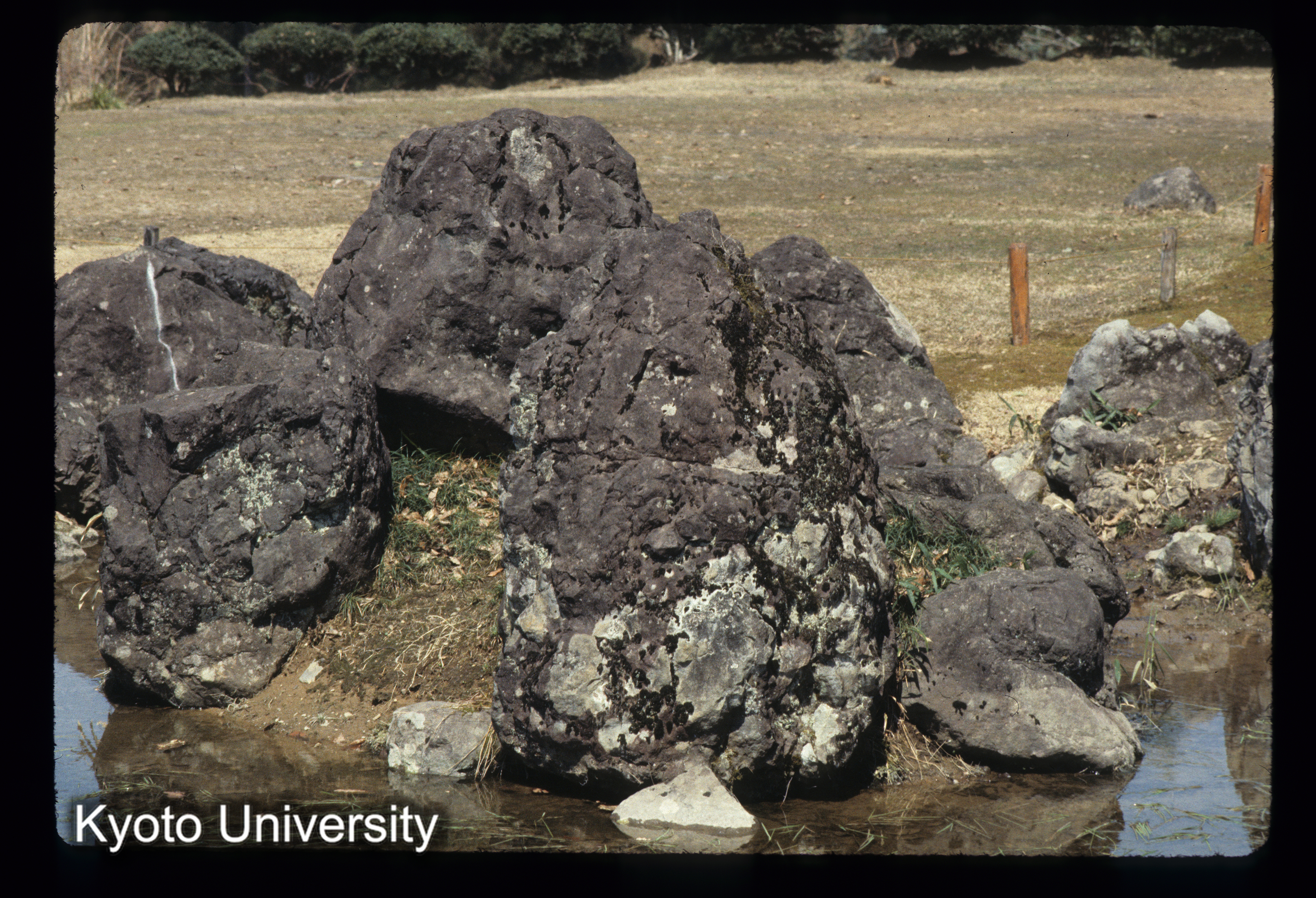 ［スライド］ (1)