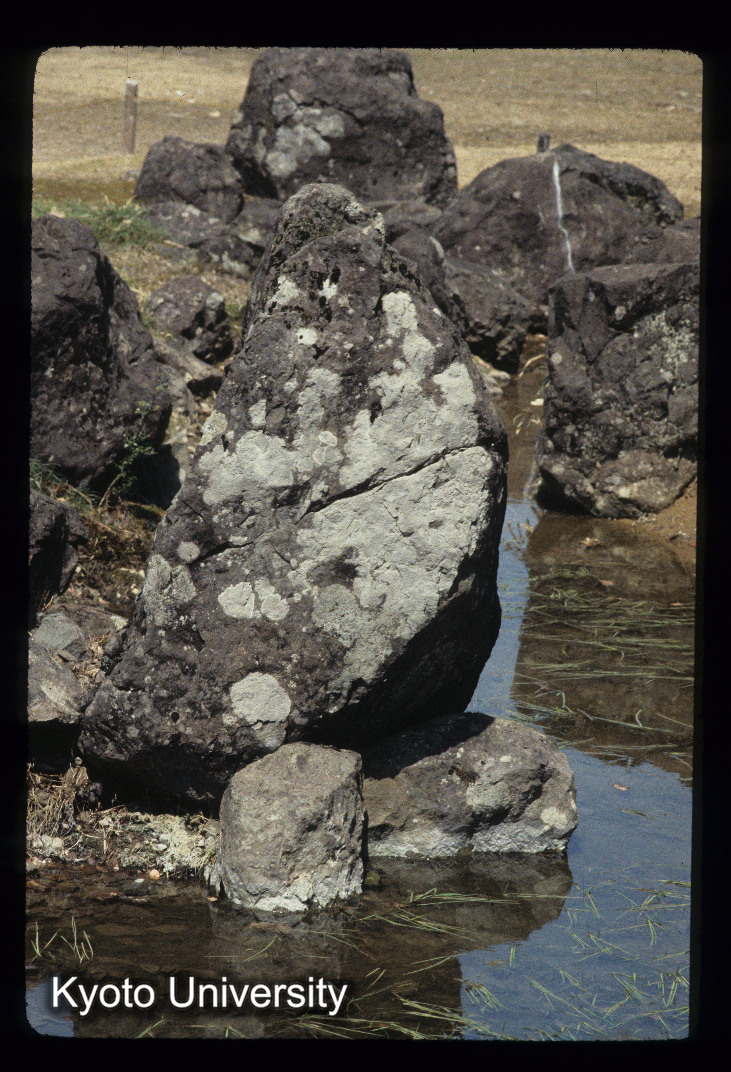 ［スライド］ (1)