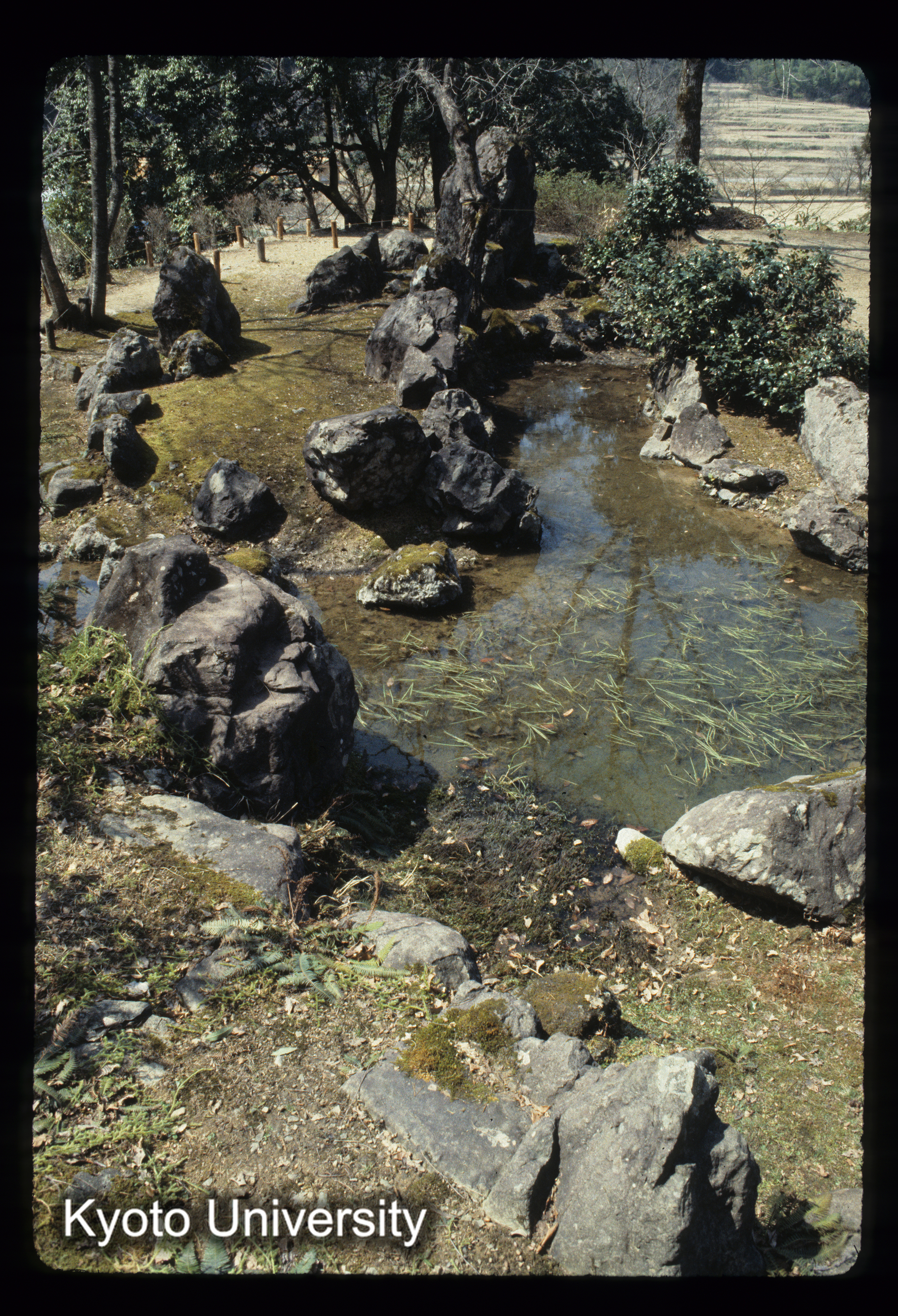 ［スライド］ (1)