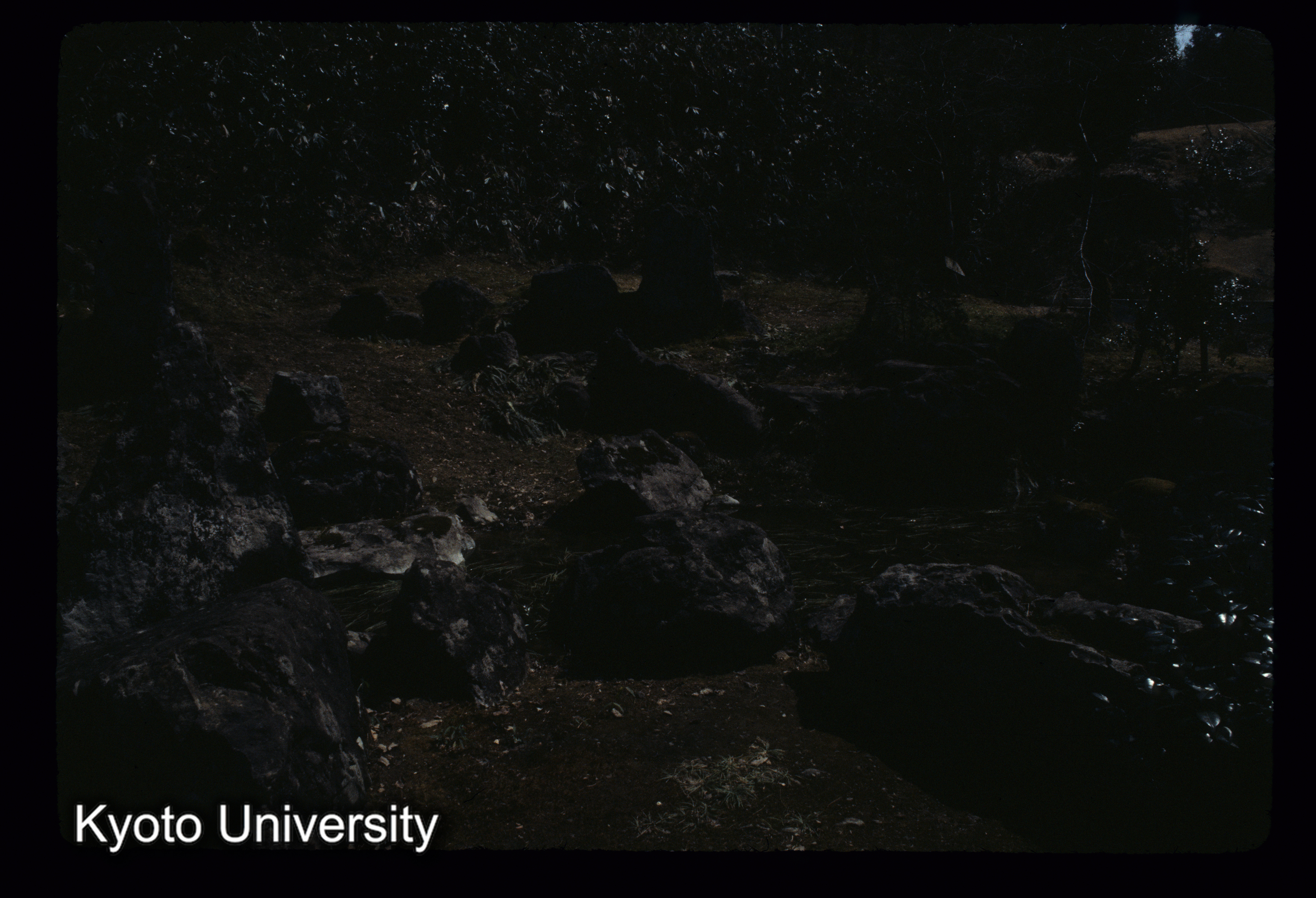 ［スライド］ (1)