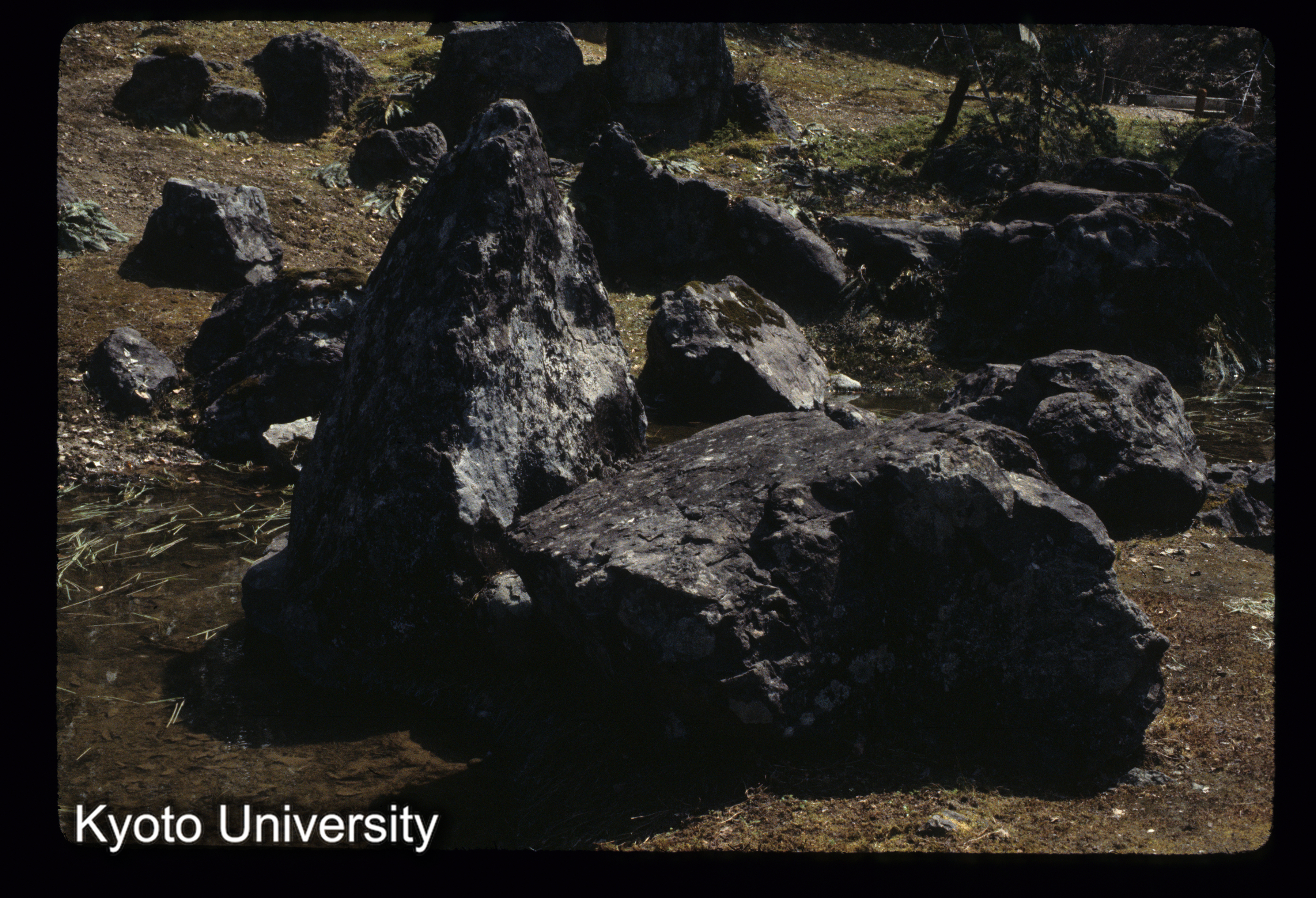 ［スライド］ (1)