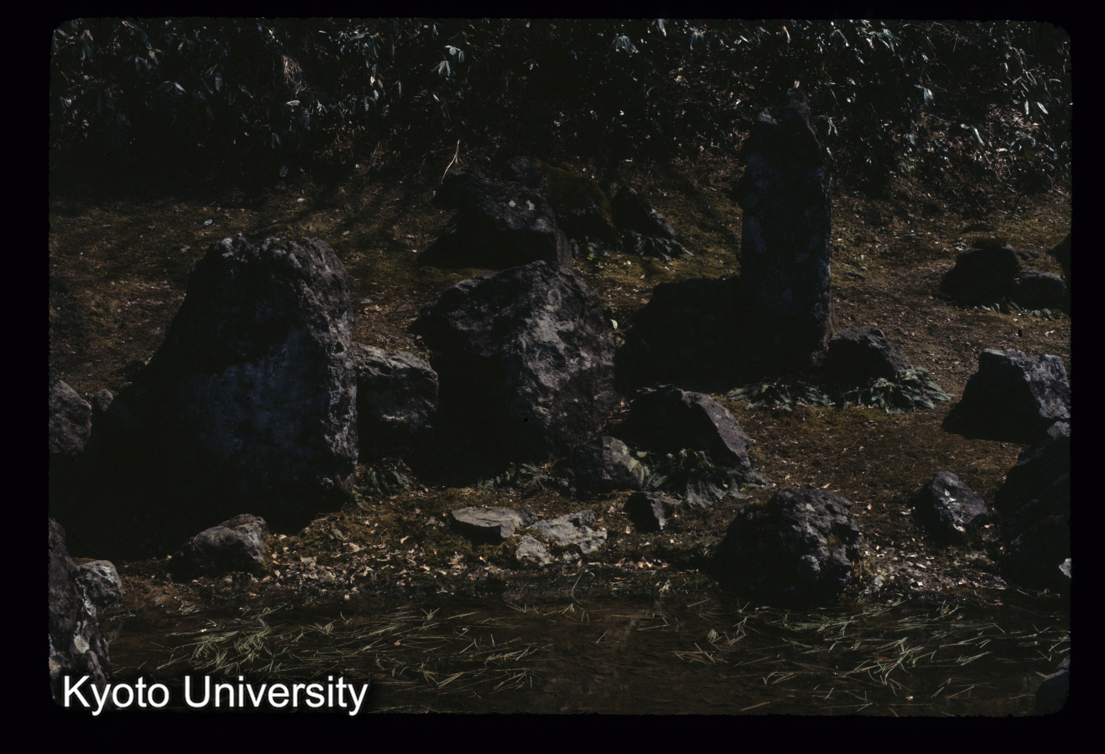 ［スライド］ (1)