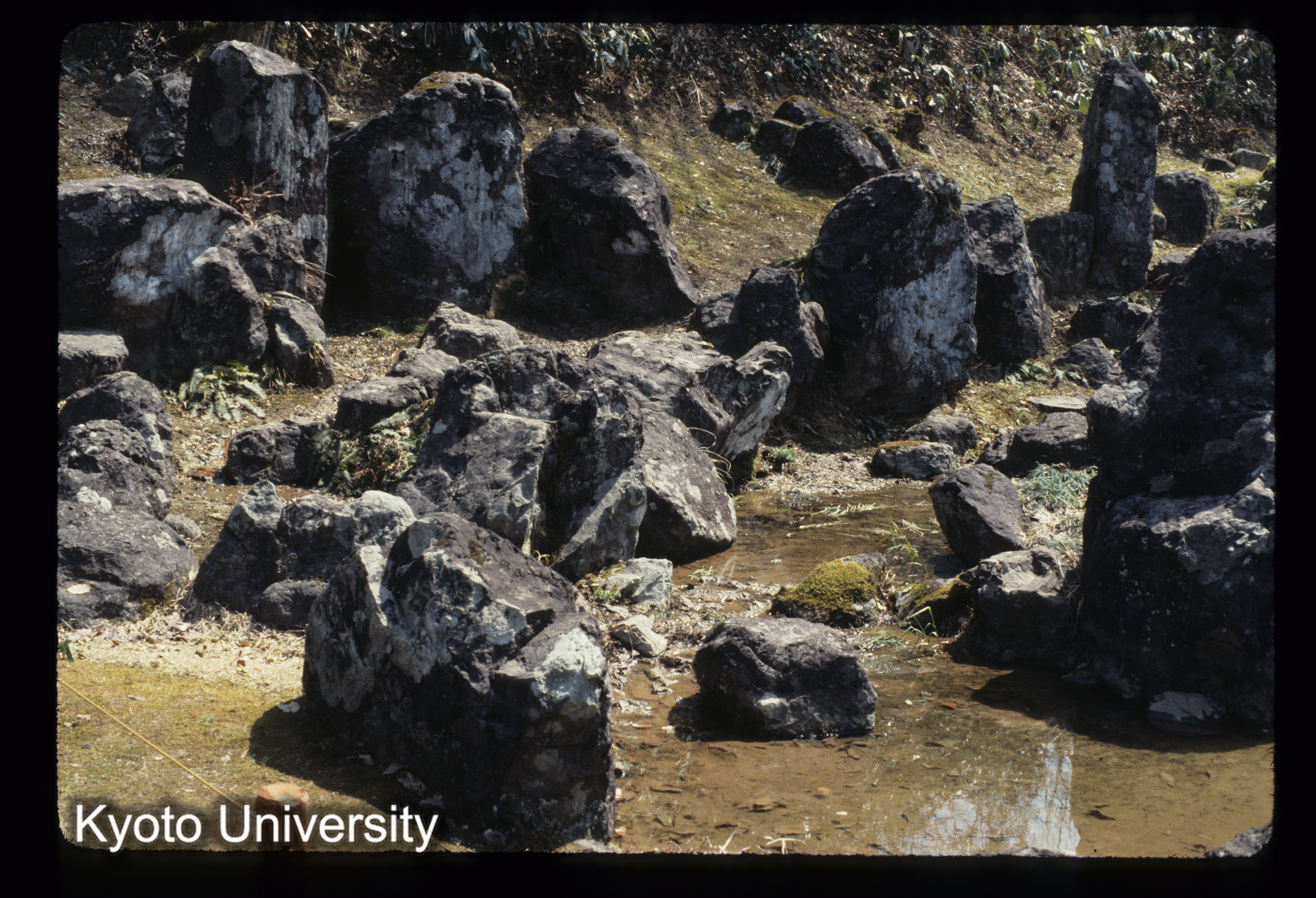 ［スライド］ (1)