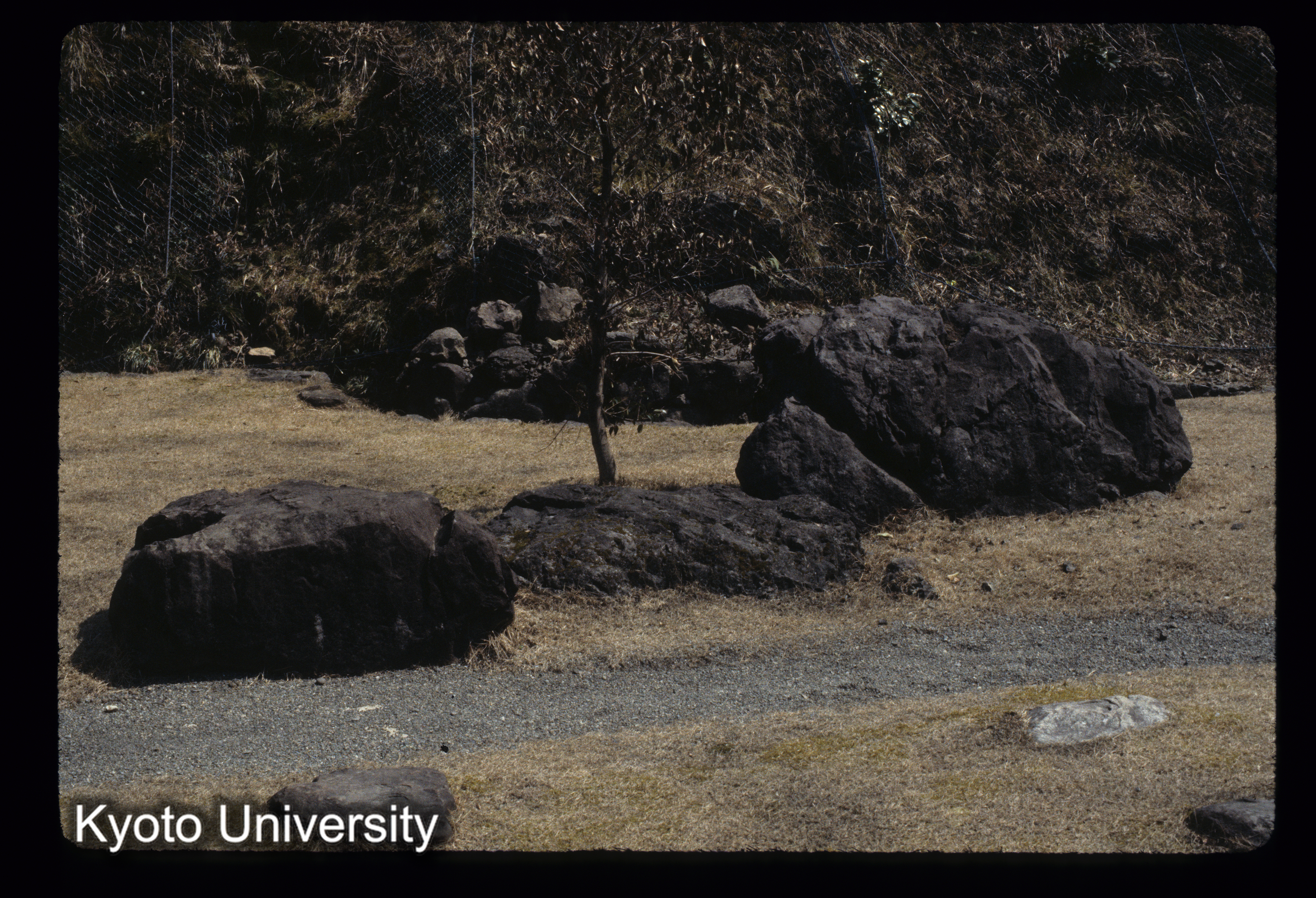 ［スライド］ (1)