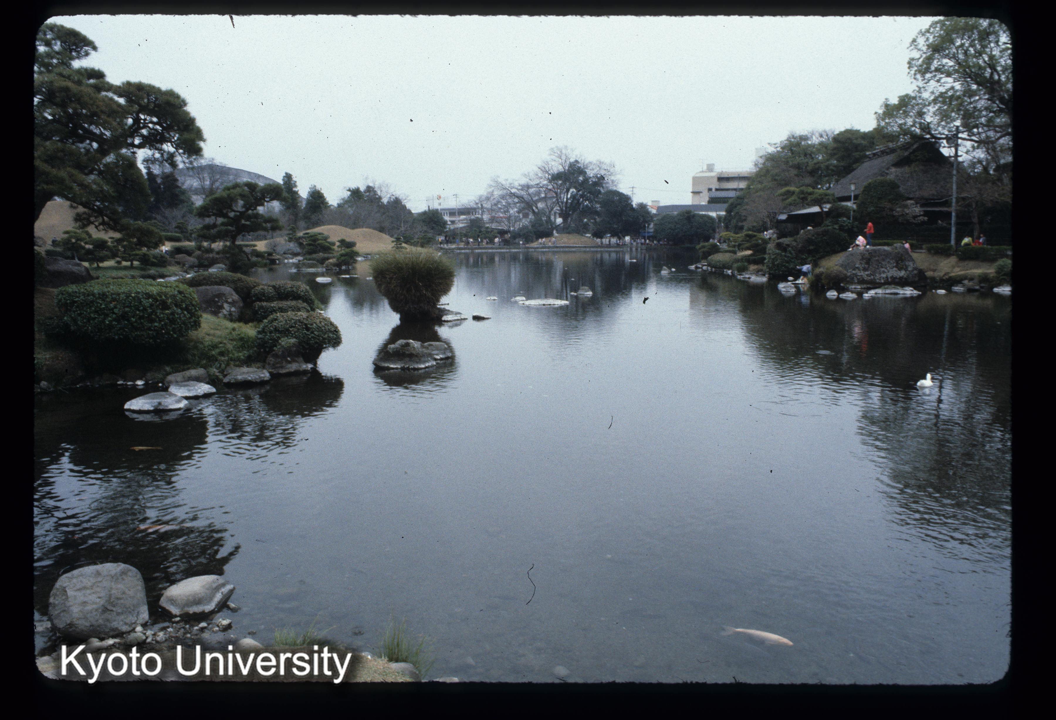 ［スライド］ (1)