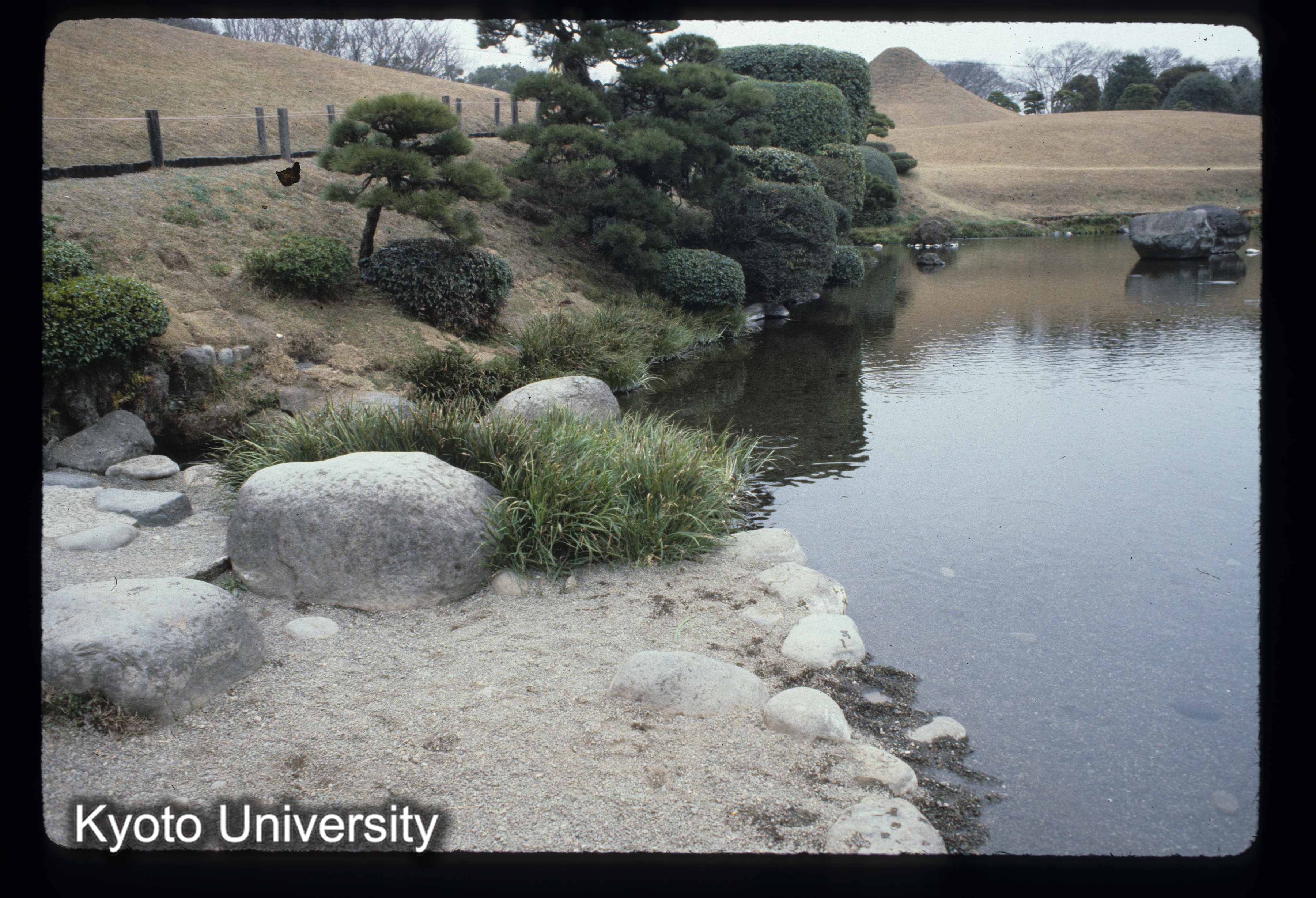 ［スライド］ (1)