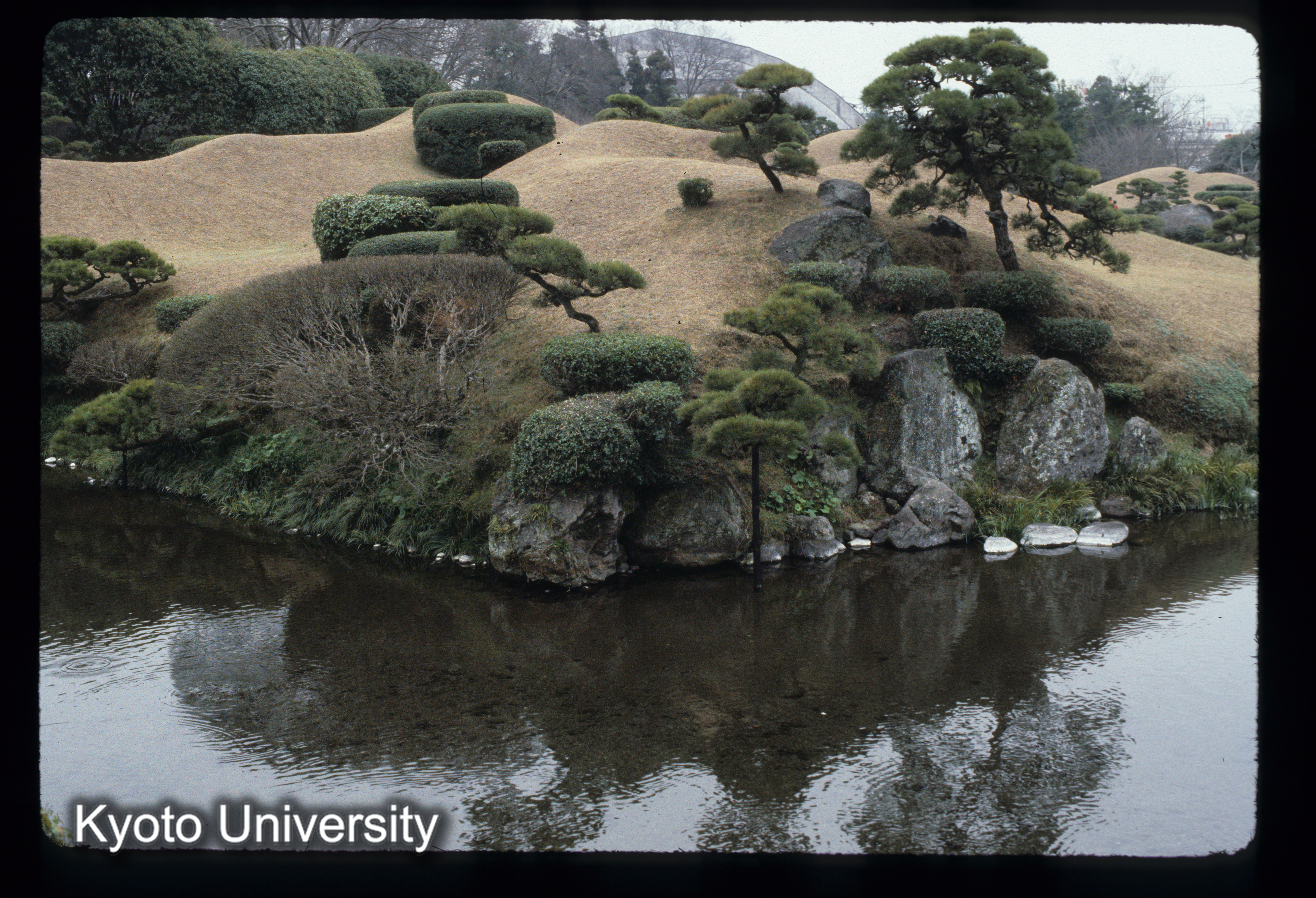 ［スライド］ (1)