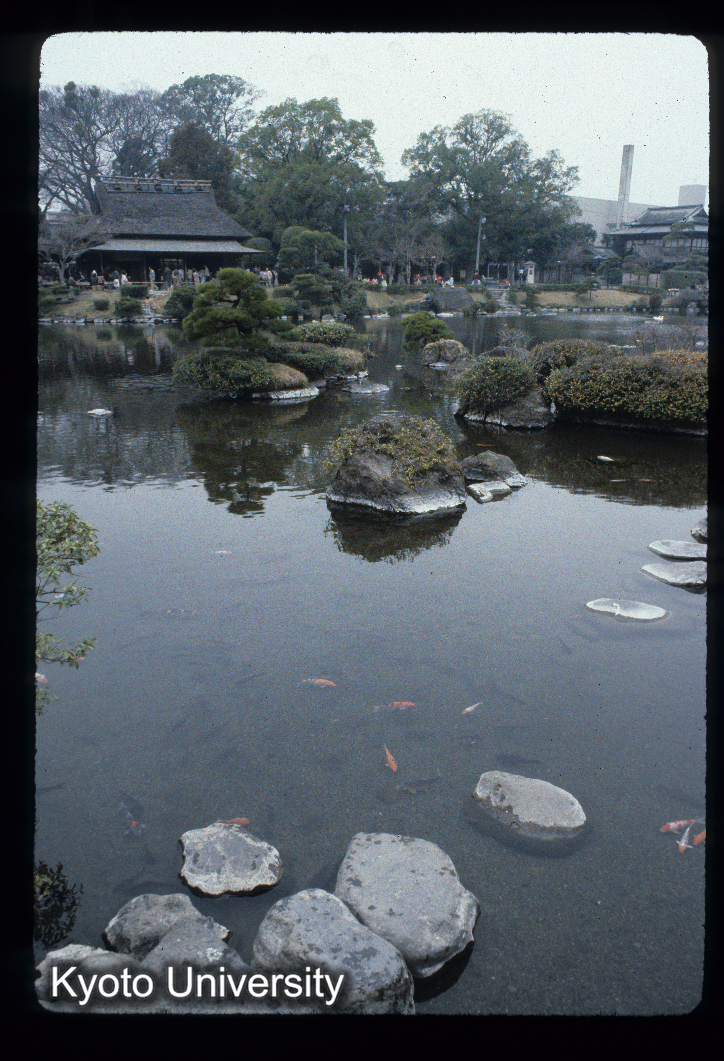 ［スライド］ (1)