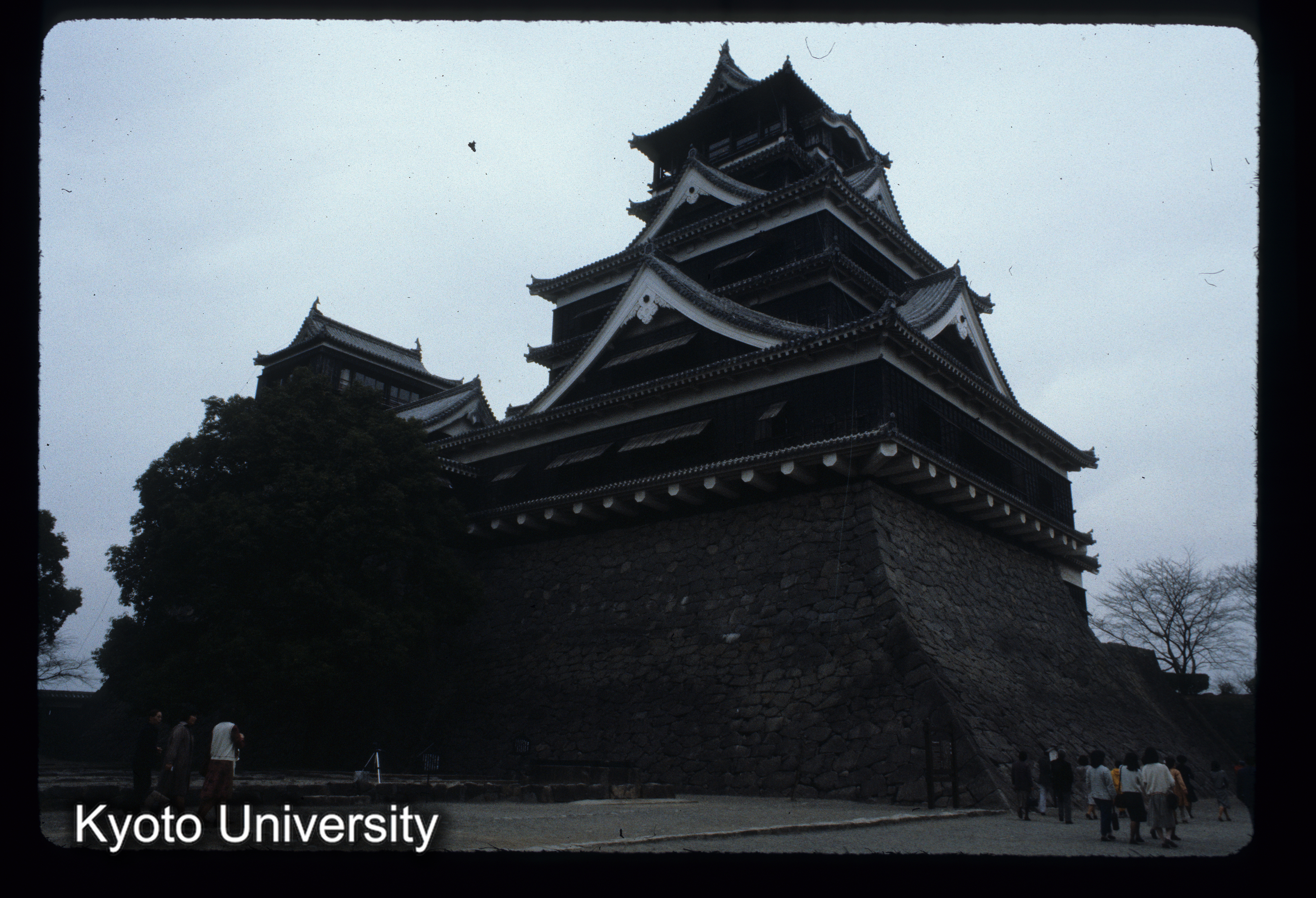 ［スライド］ (1)