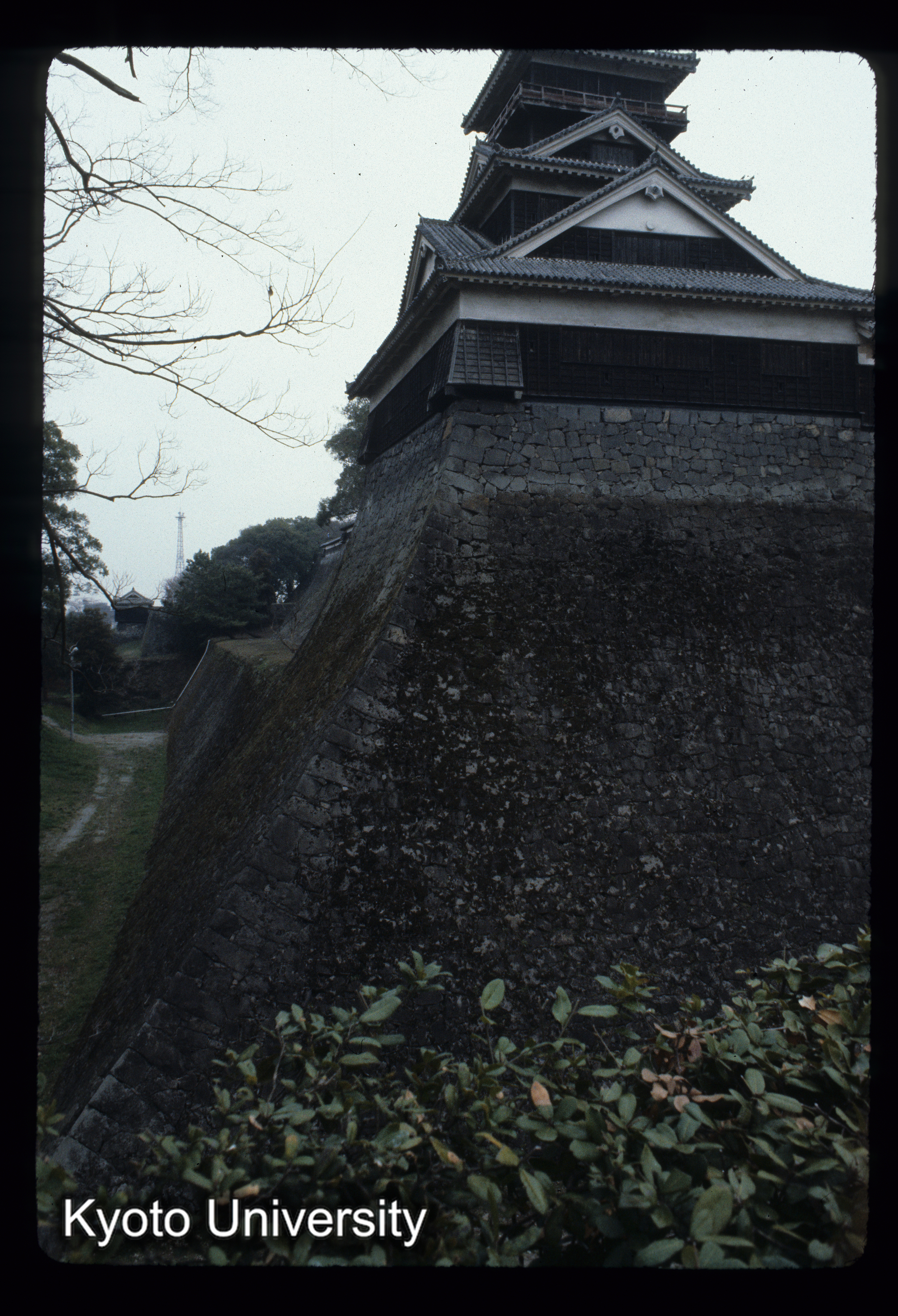 ［スライド］ (1)