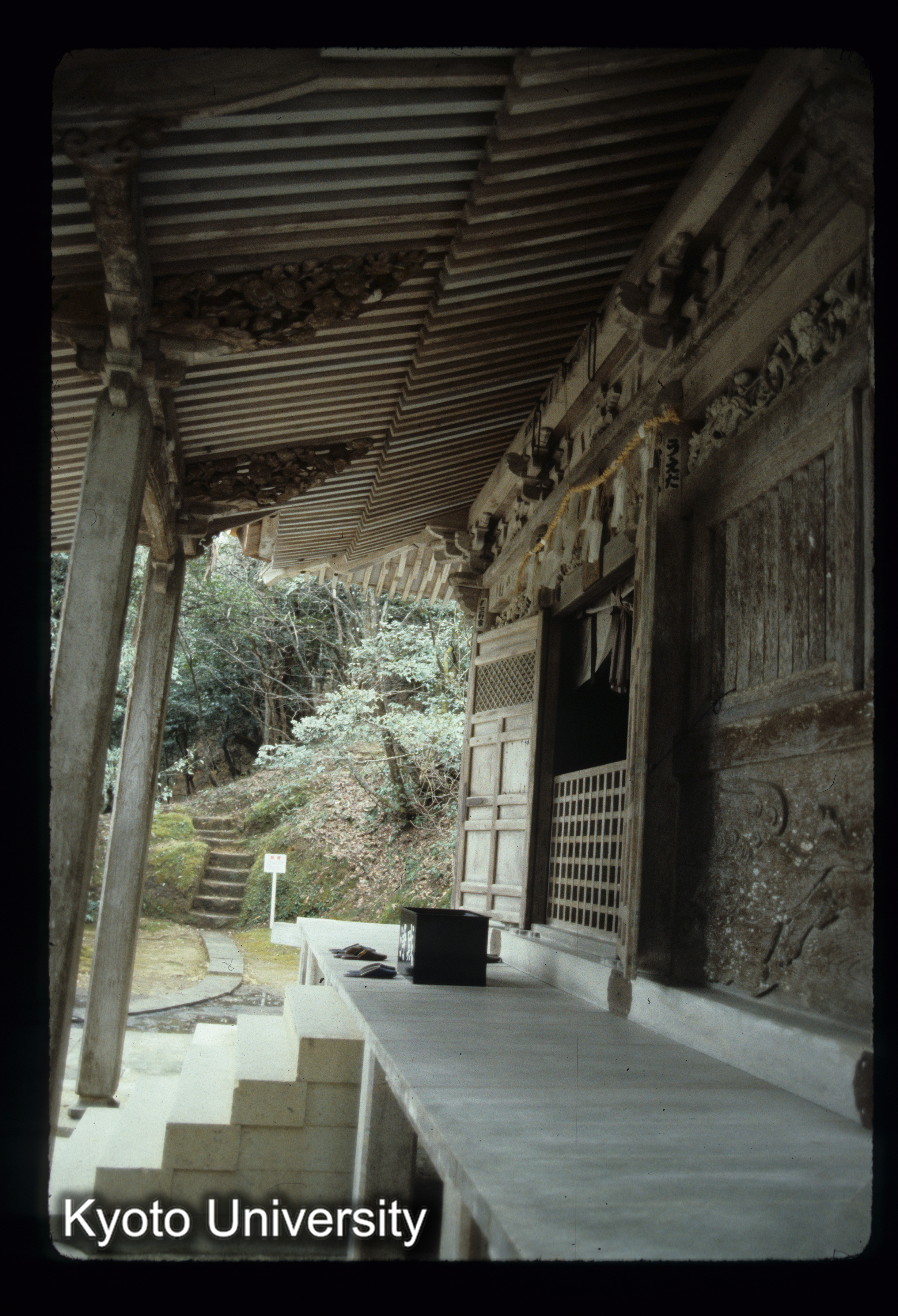 ［スライド］ (1)