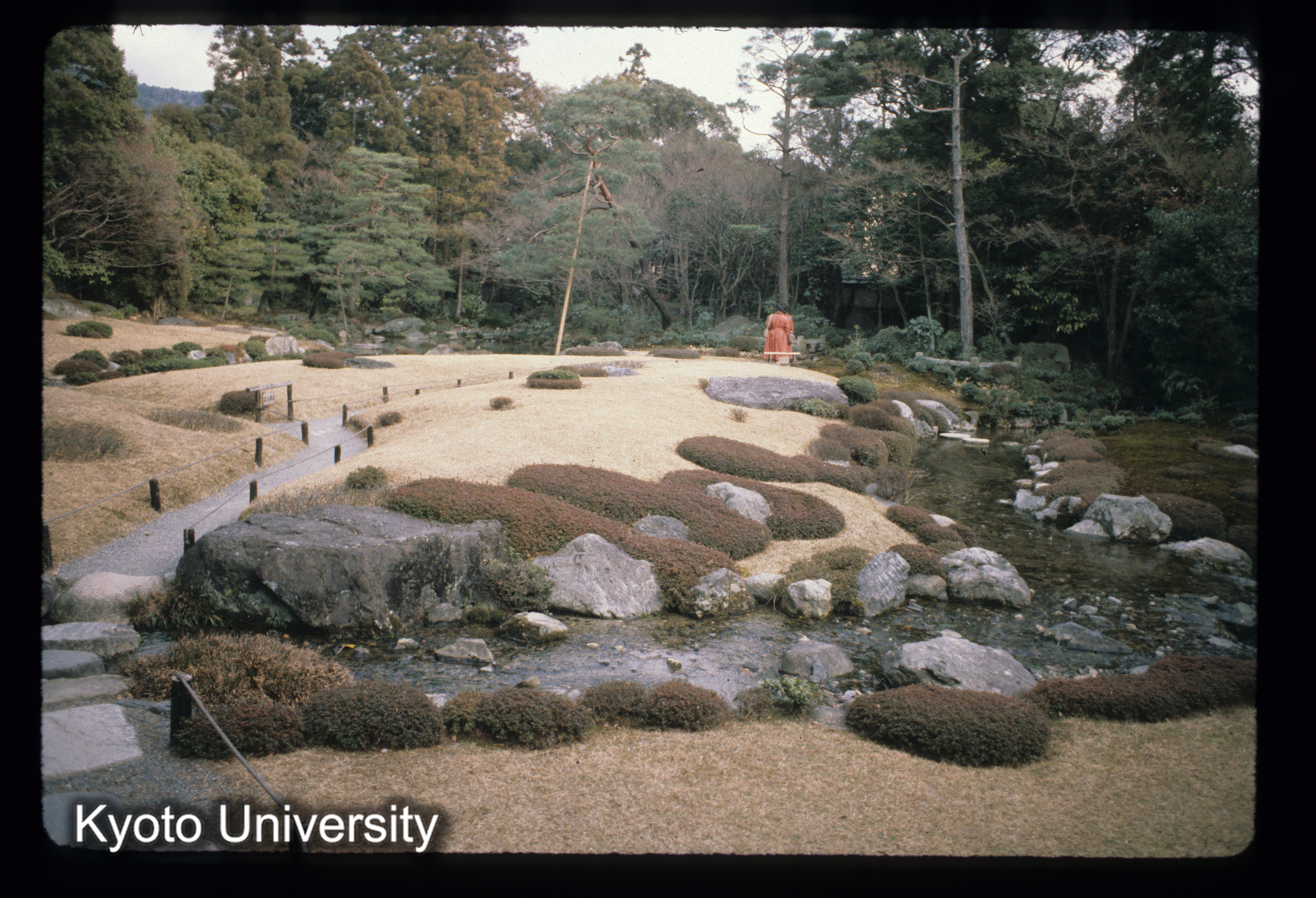 ［スライド］ (1)