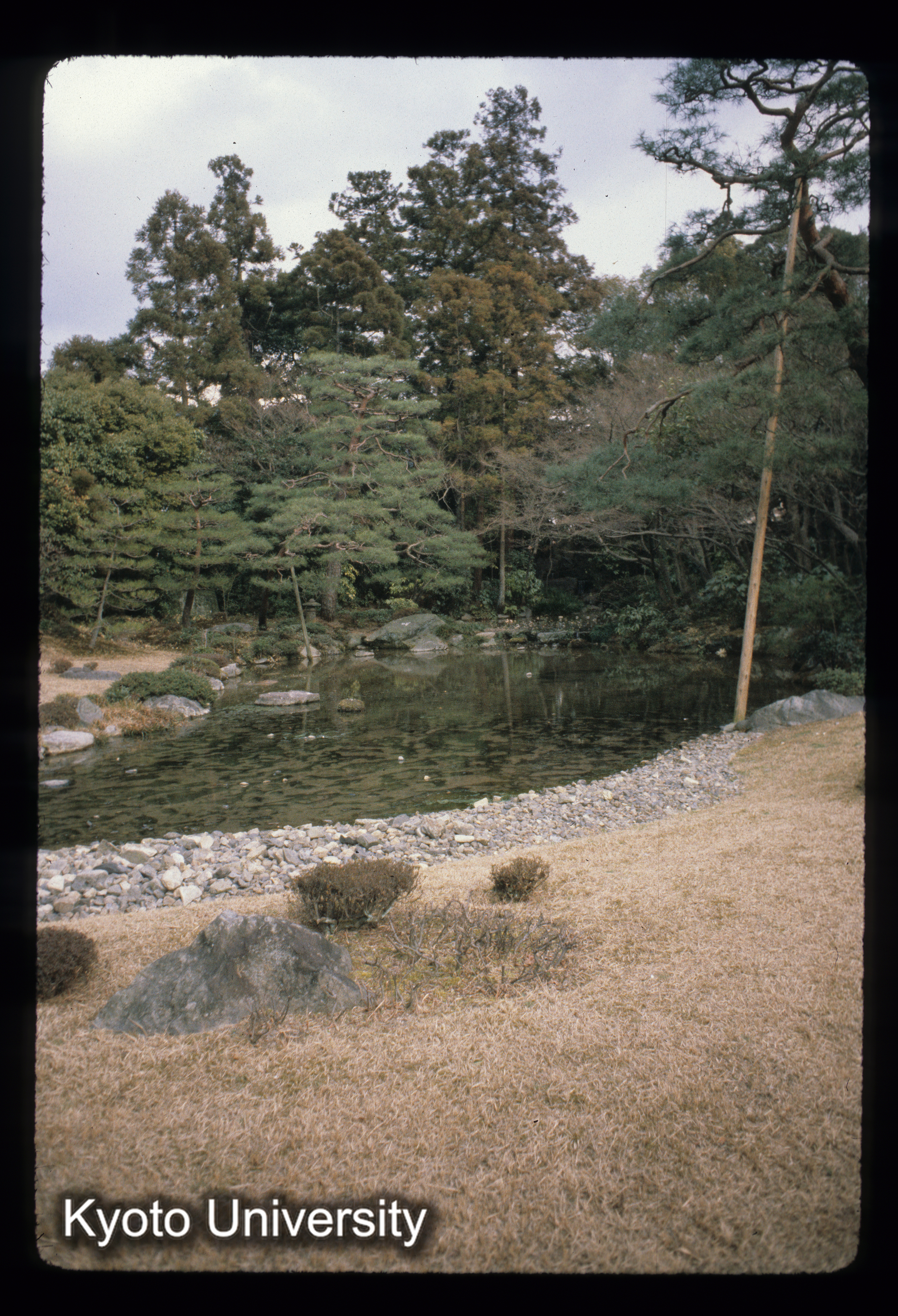 ［スライド］ (1)