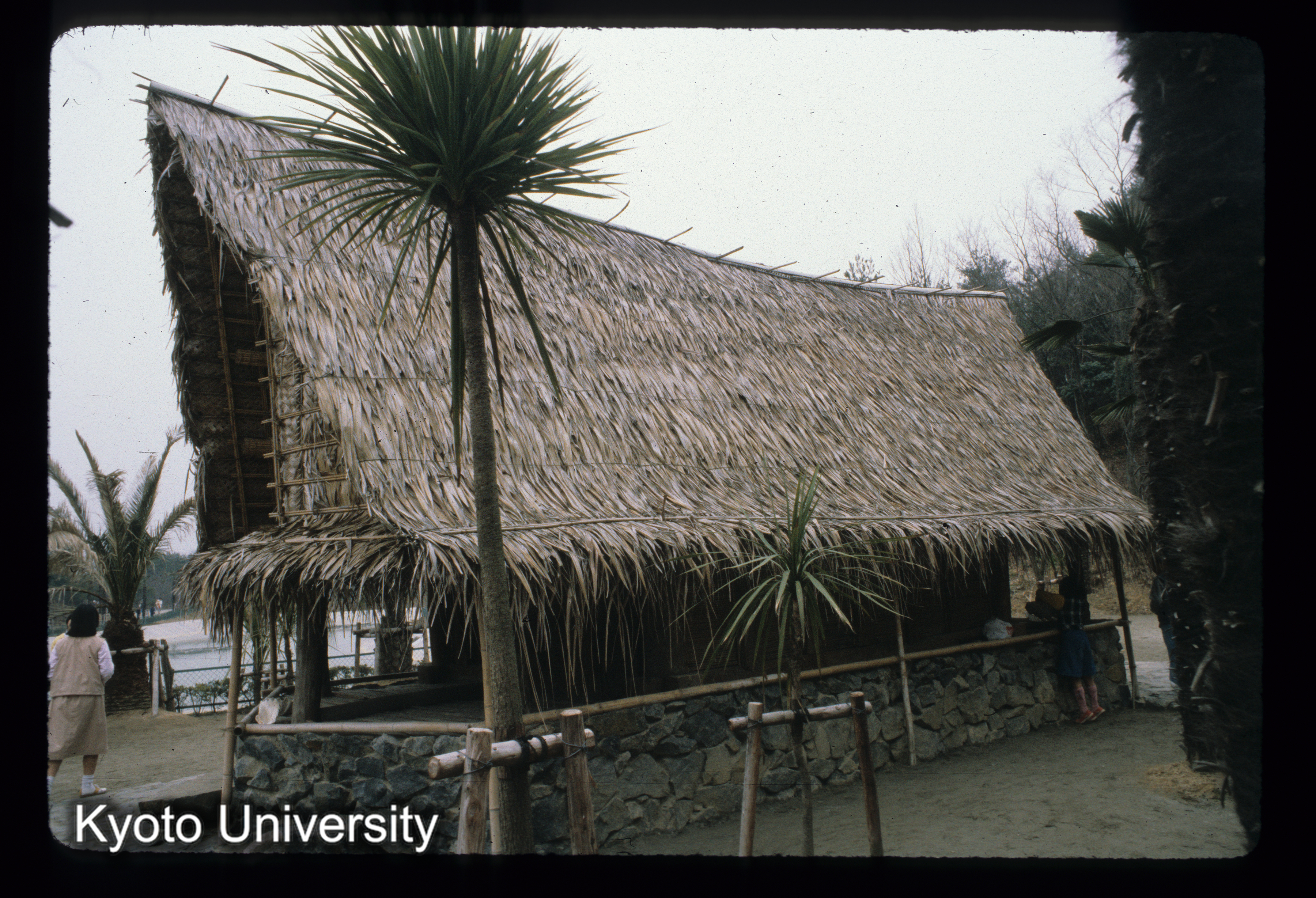 ［スライド］ (1)