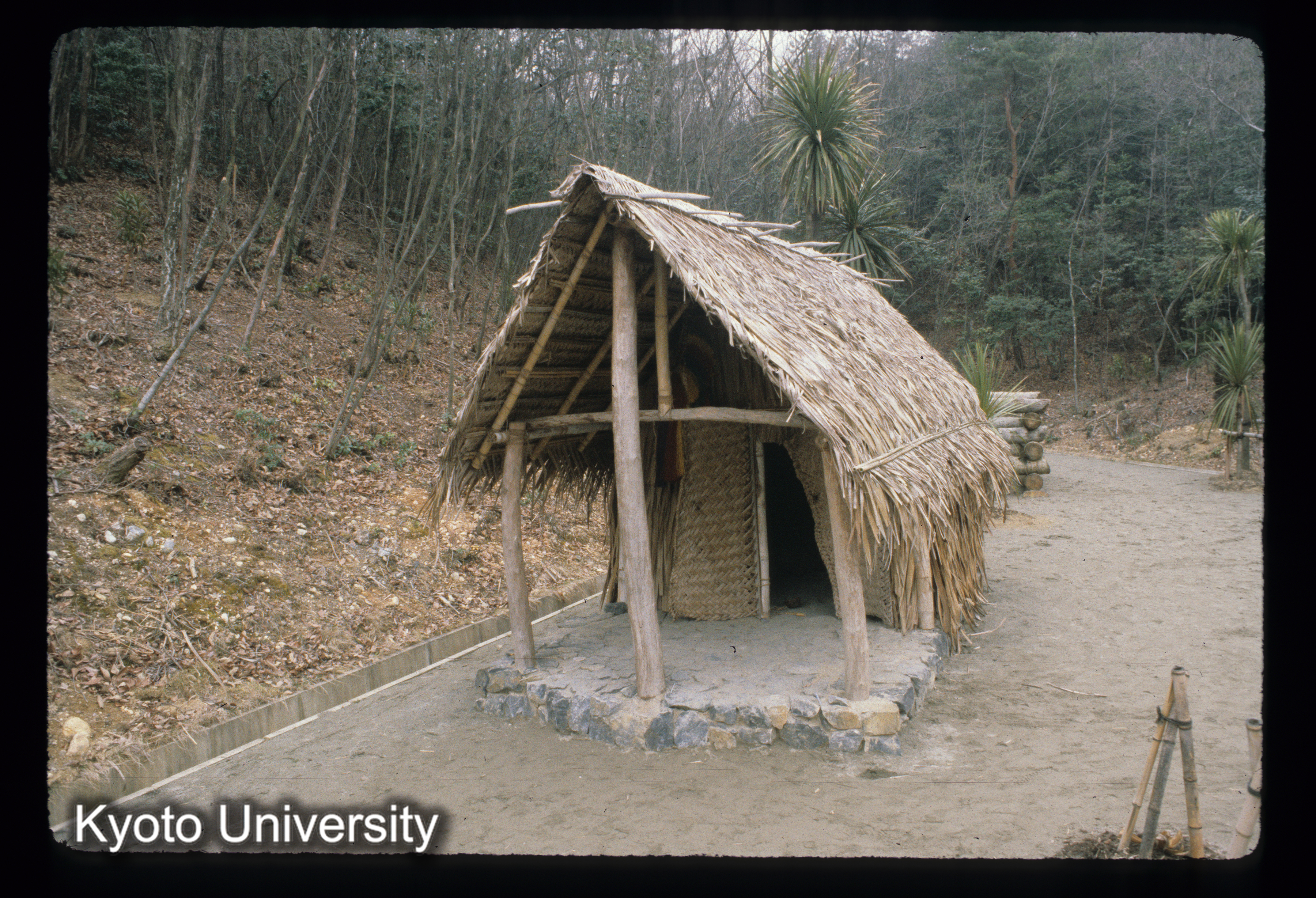 ［スライド］ (1)