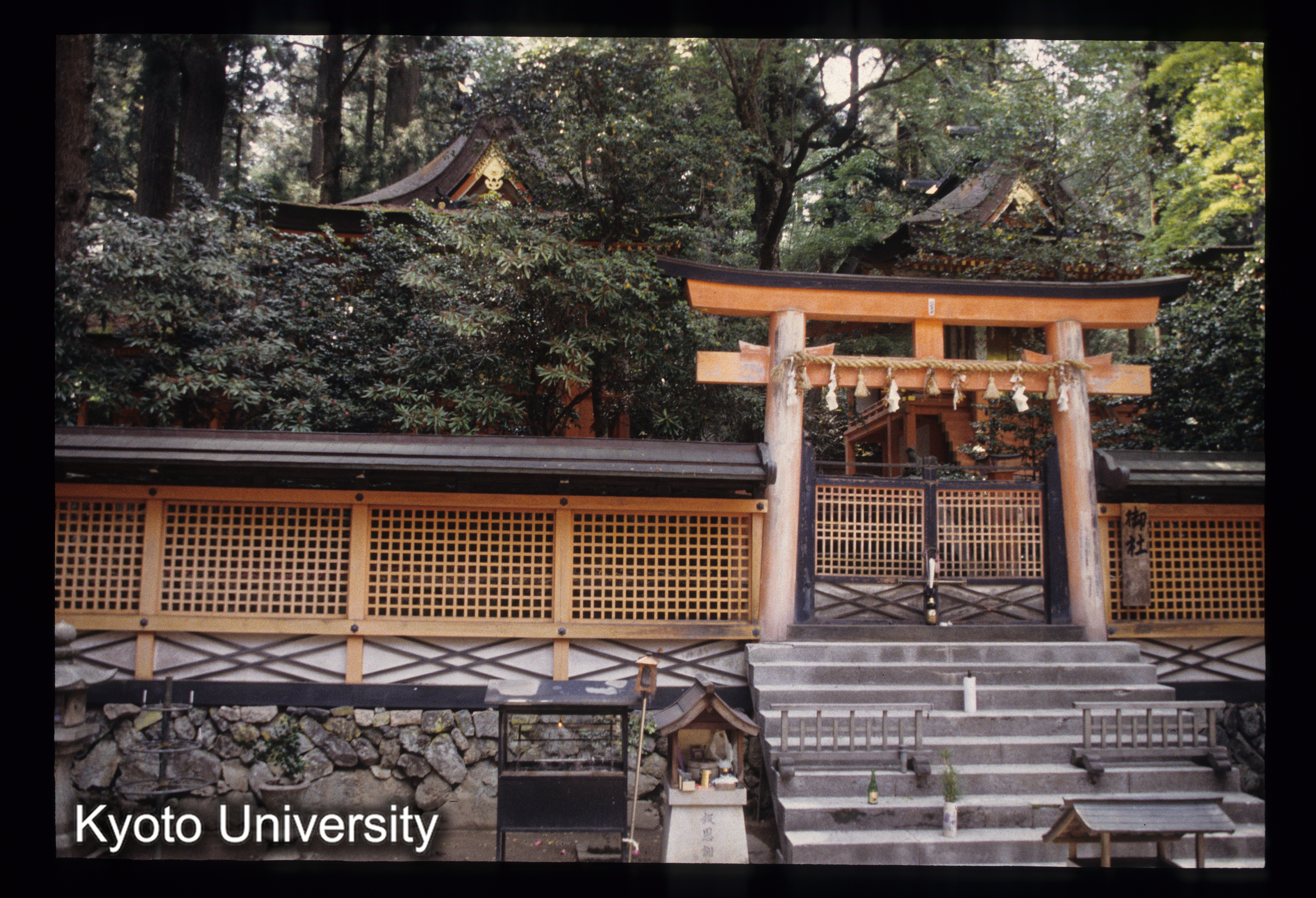 ［スライド］ (1)