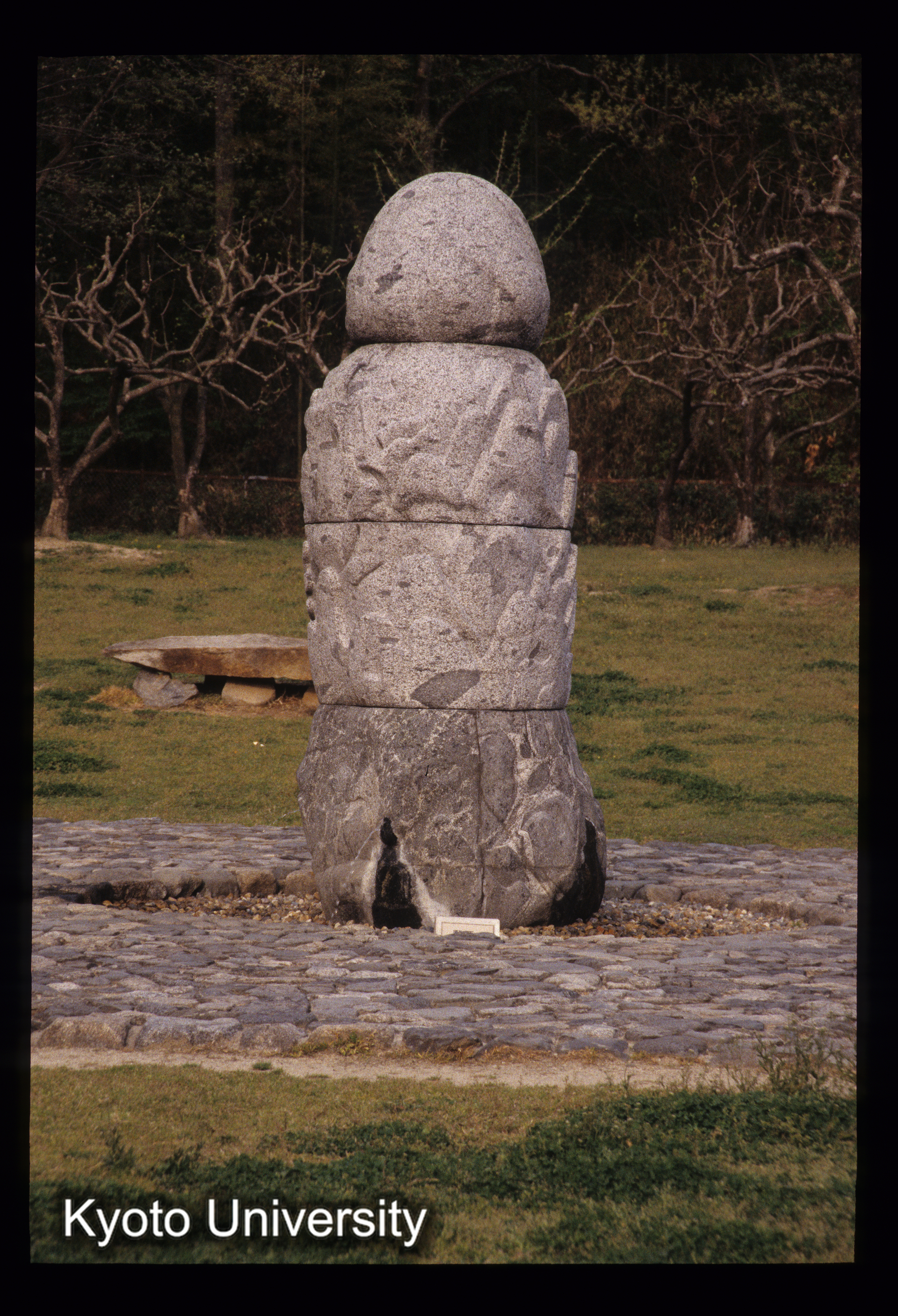 ［スライド］ (1)