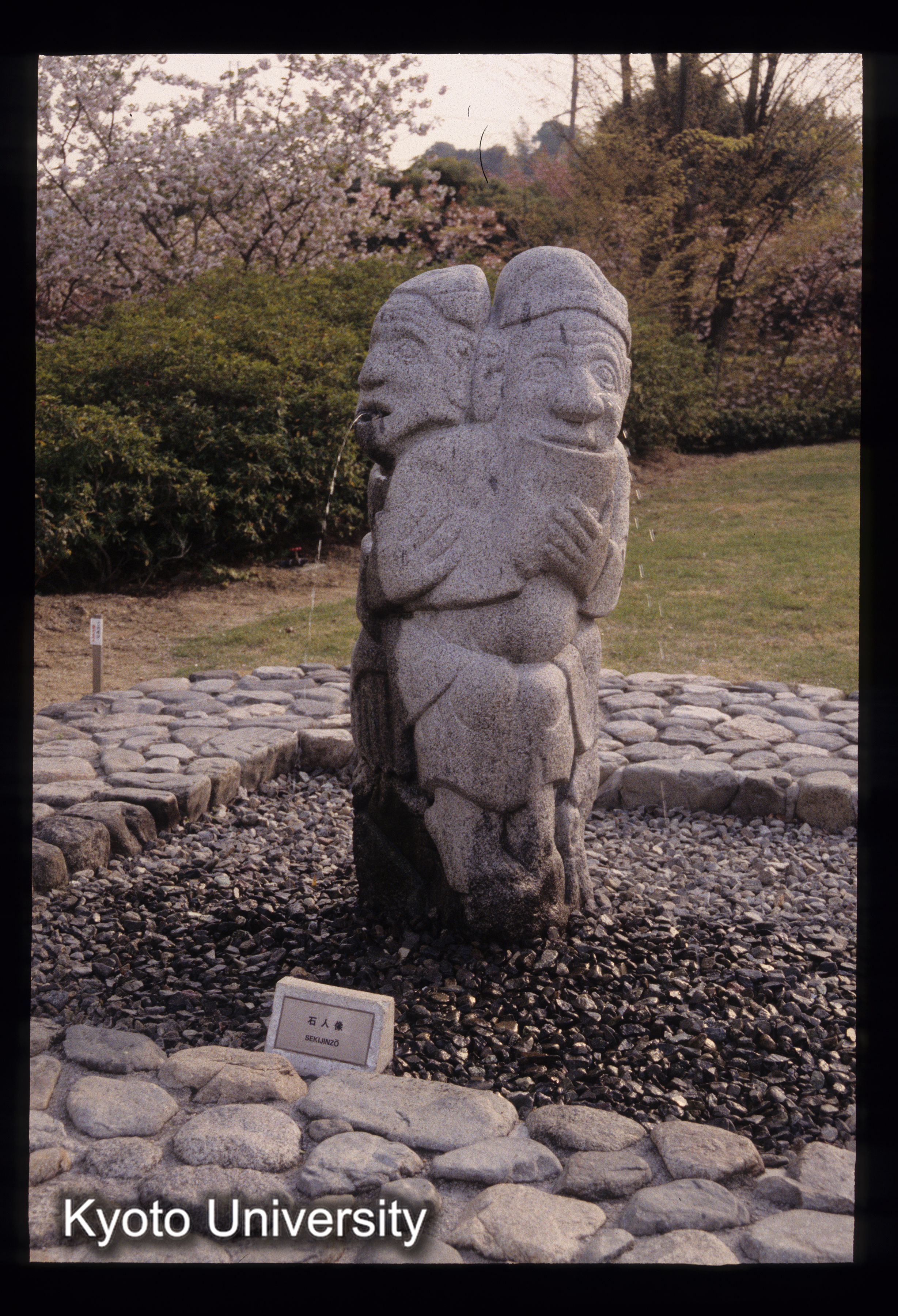 ［スライド］ (1)