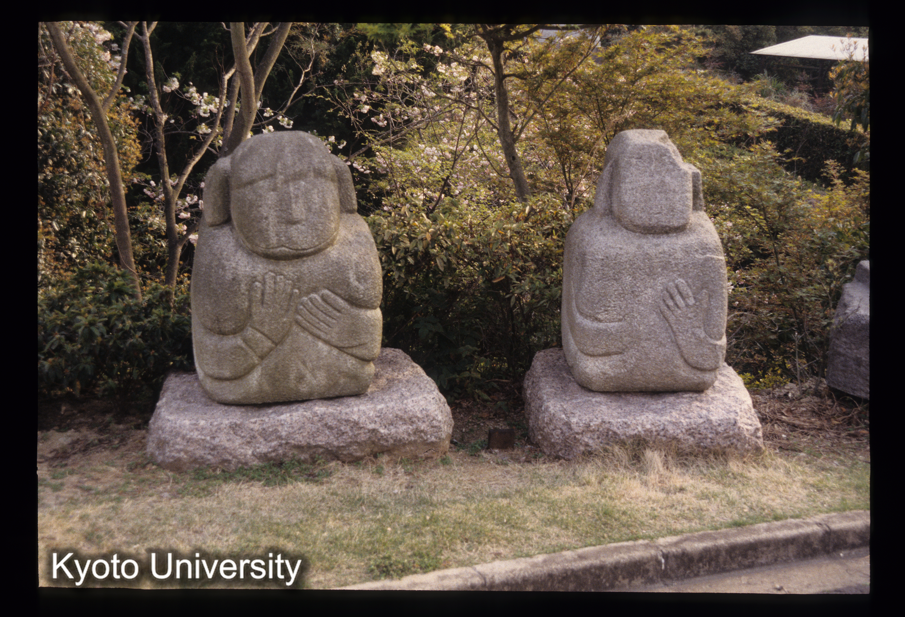 ［スライド］ (1)