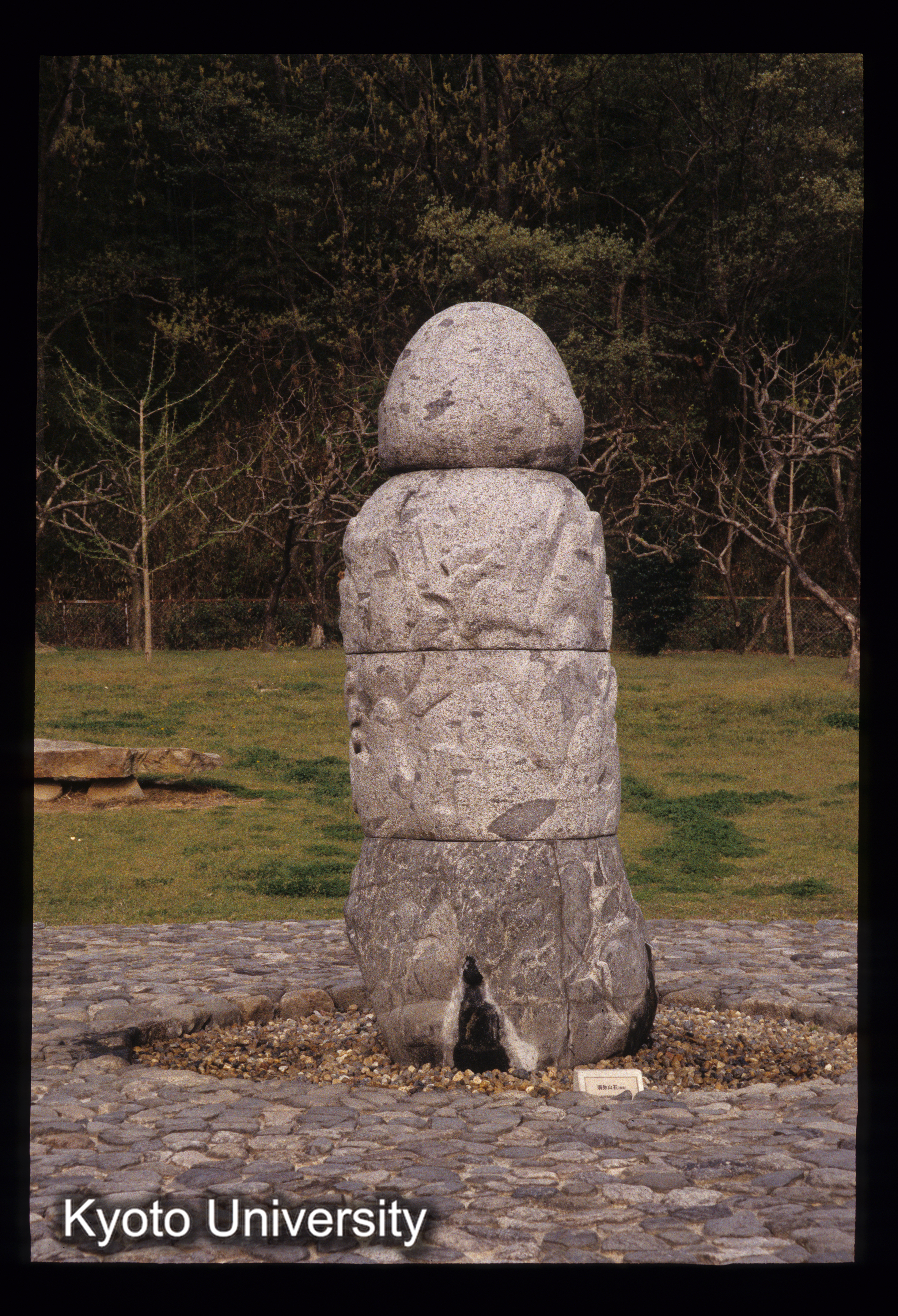 ［スライド］ (1)