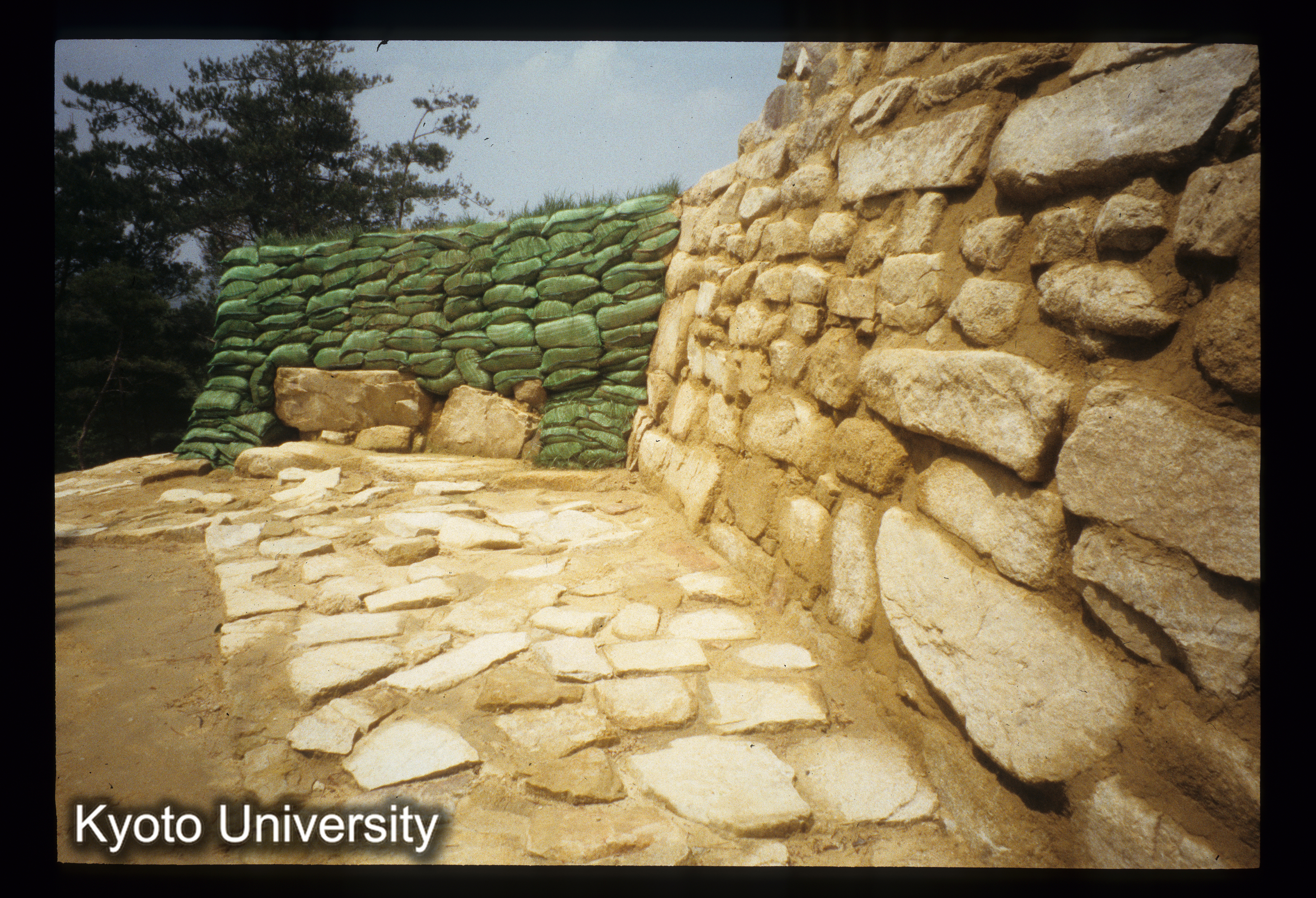 ［スライド］ (1)