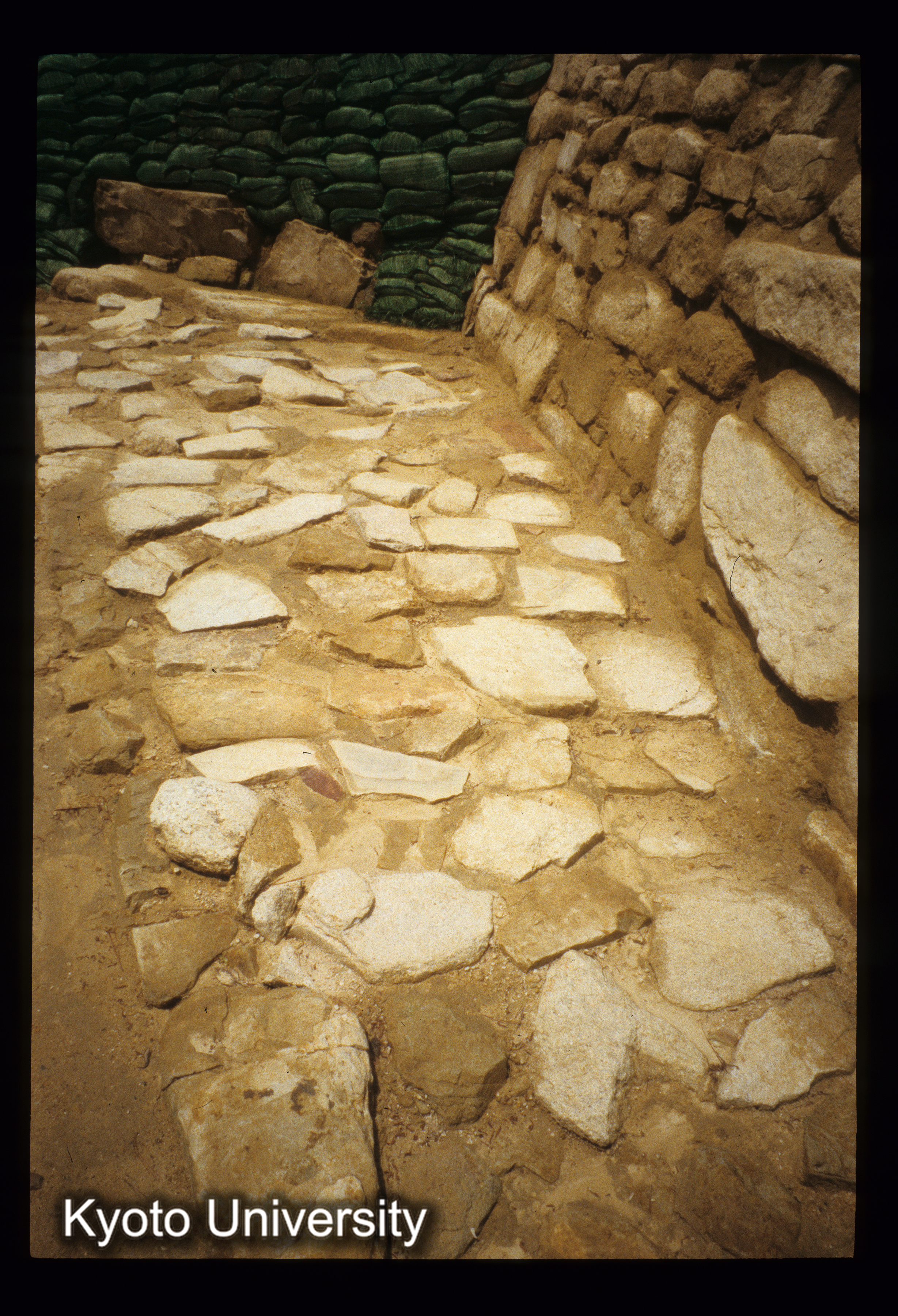 ［スライド］ (1)