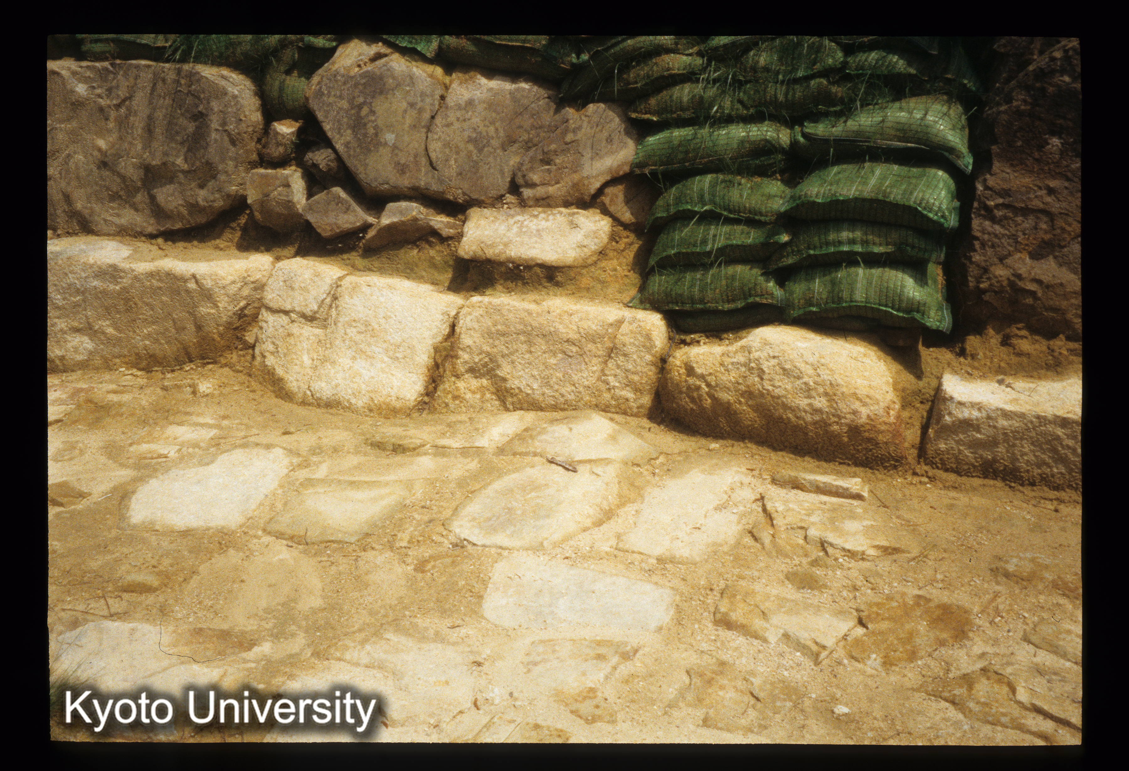 ［スライド］ (1)